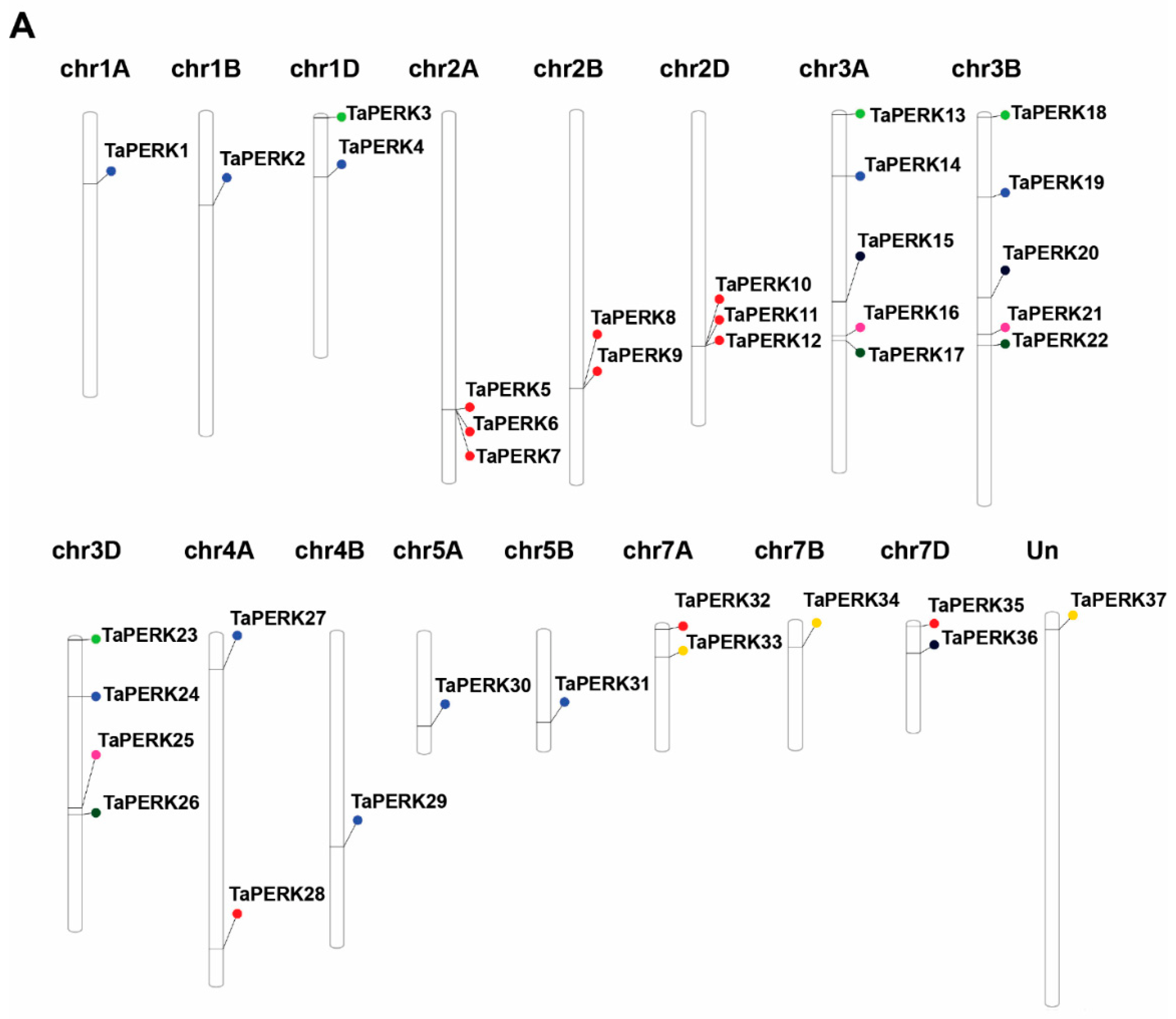 Plants 11 00496 g002a Plants 11 00496 g002a