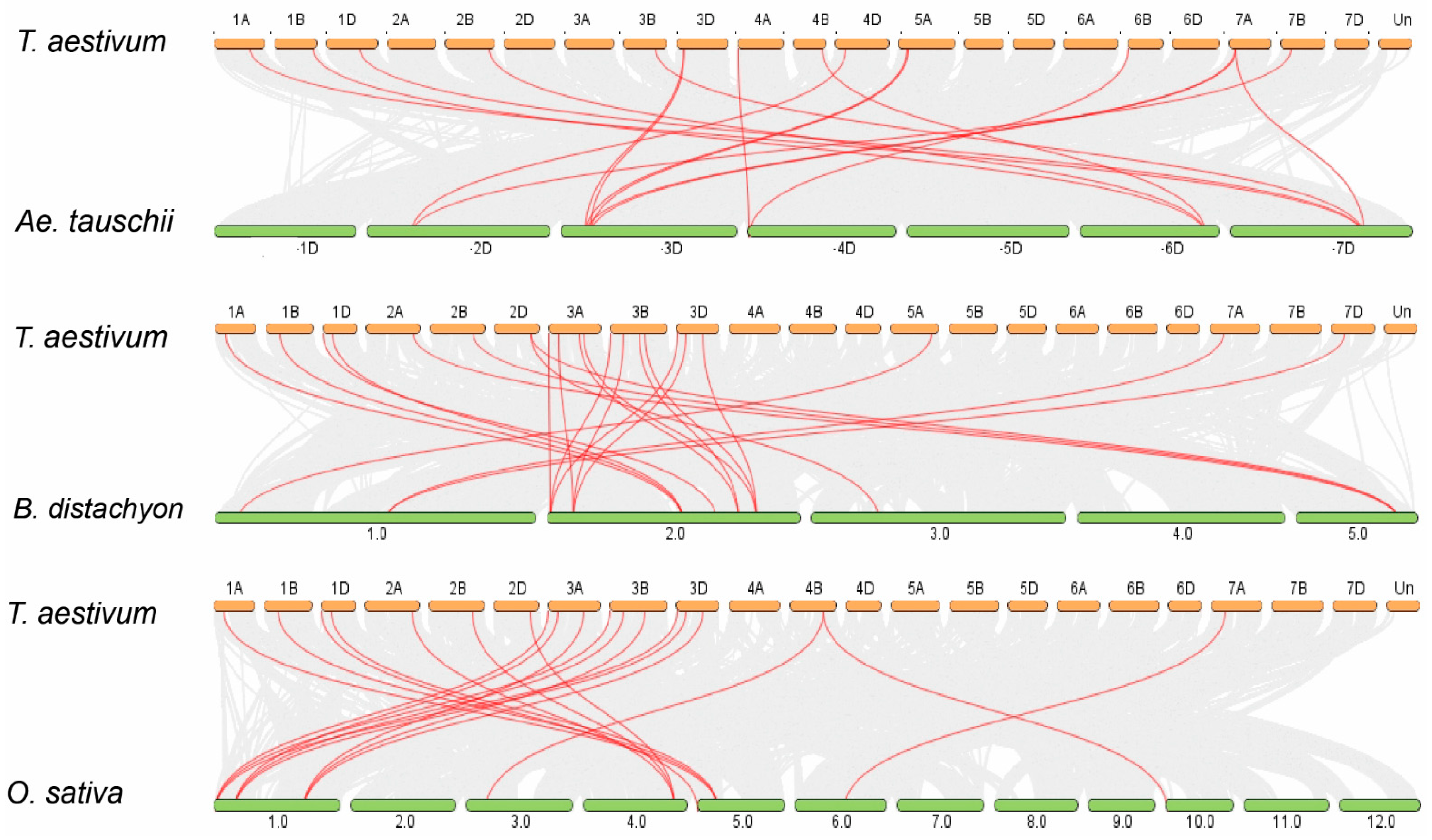 Plants 11 00496 g003 Plants 11 00496 g003
