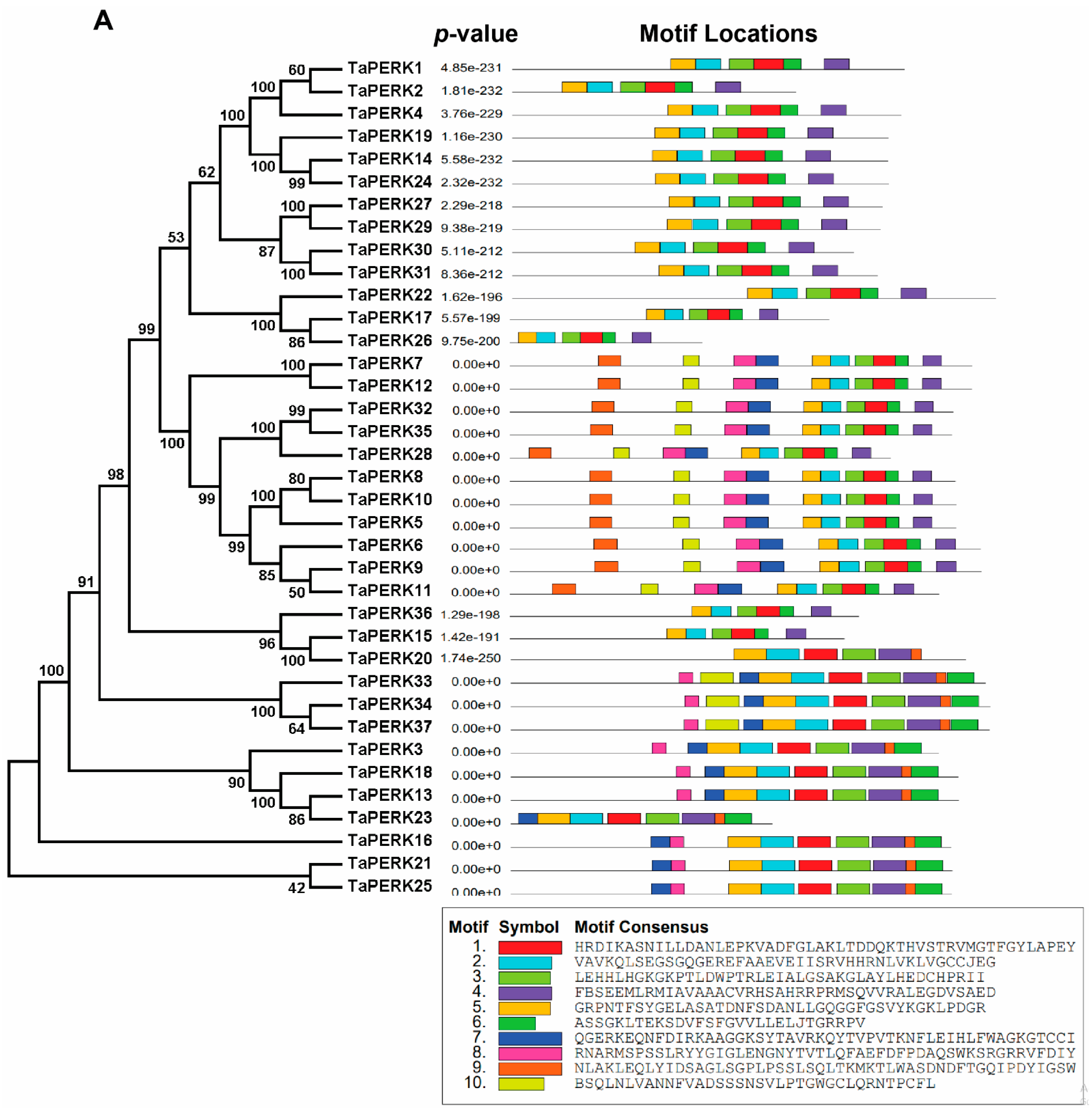 Plants 11 00496 g005a Plants 11 00496 g005a