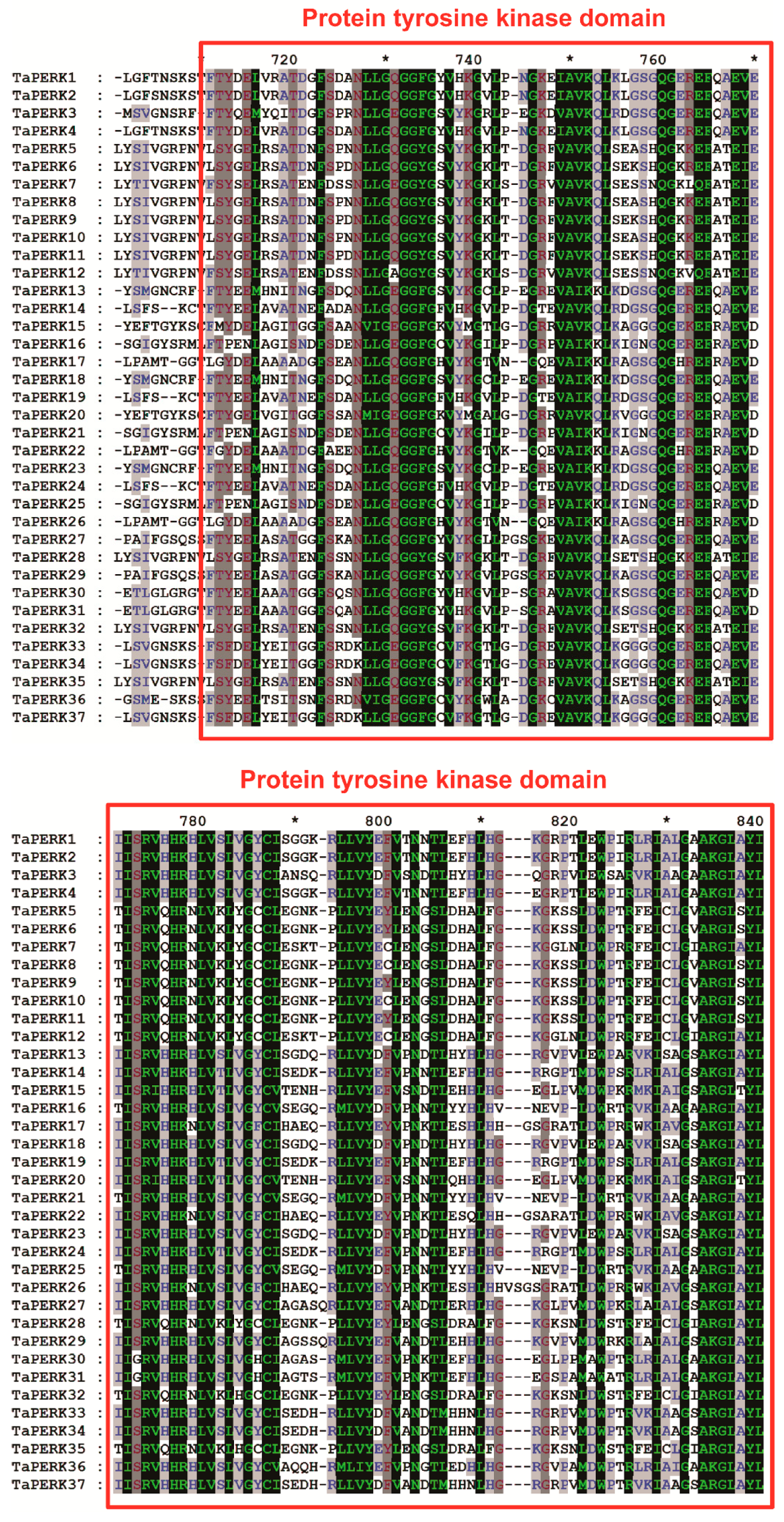 Plants 11 00496 g006a Plants 11 00496 g006a