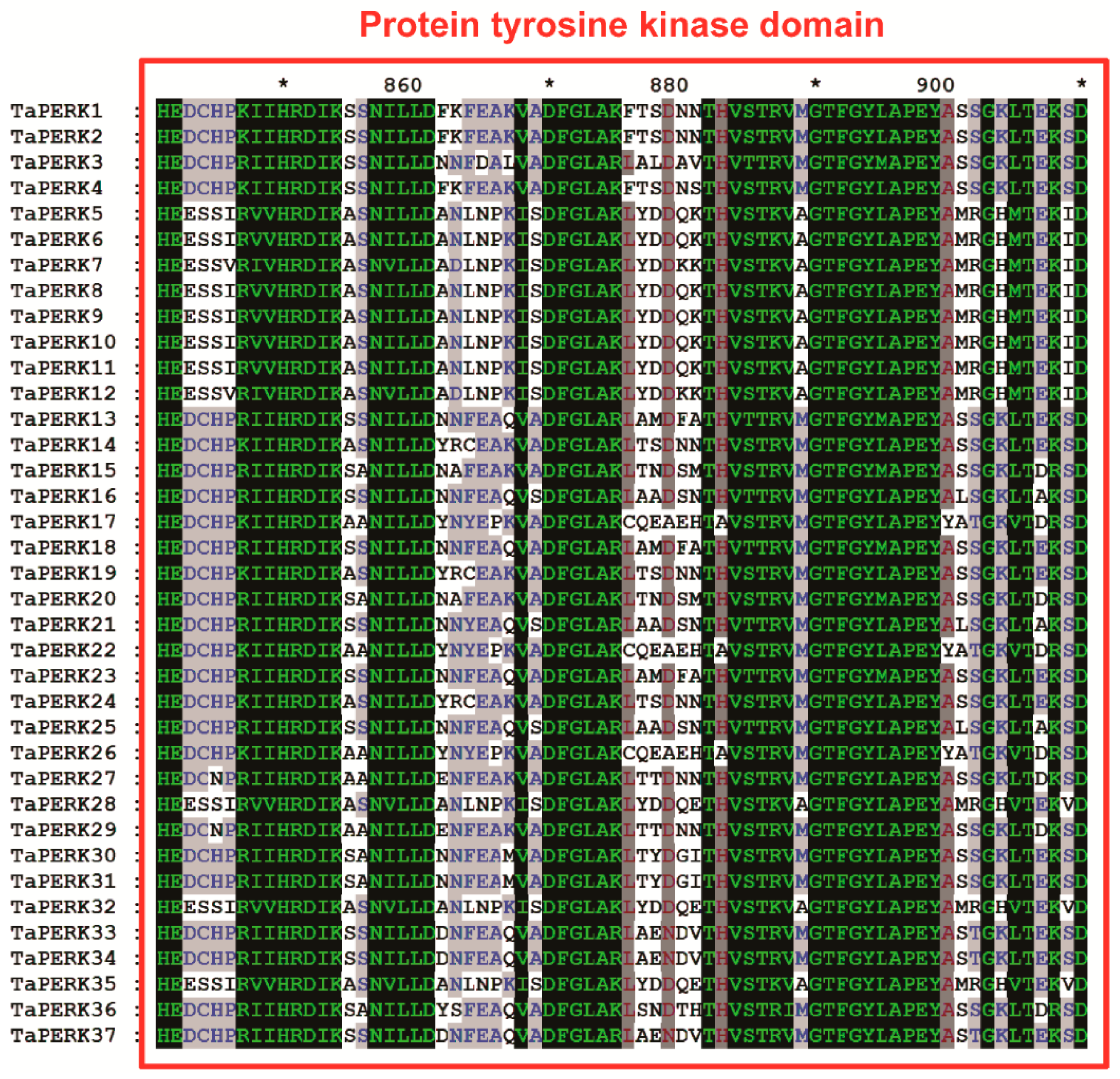 Plants 11 00496 g006b Plants 11 00496 g006b
