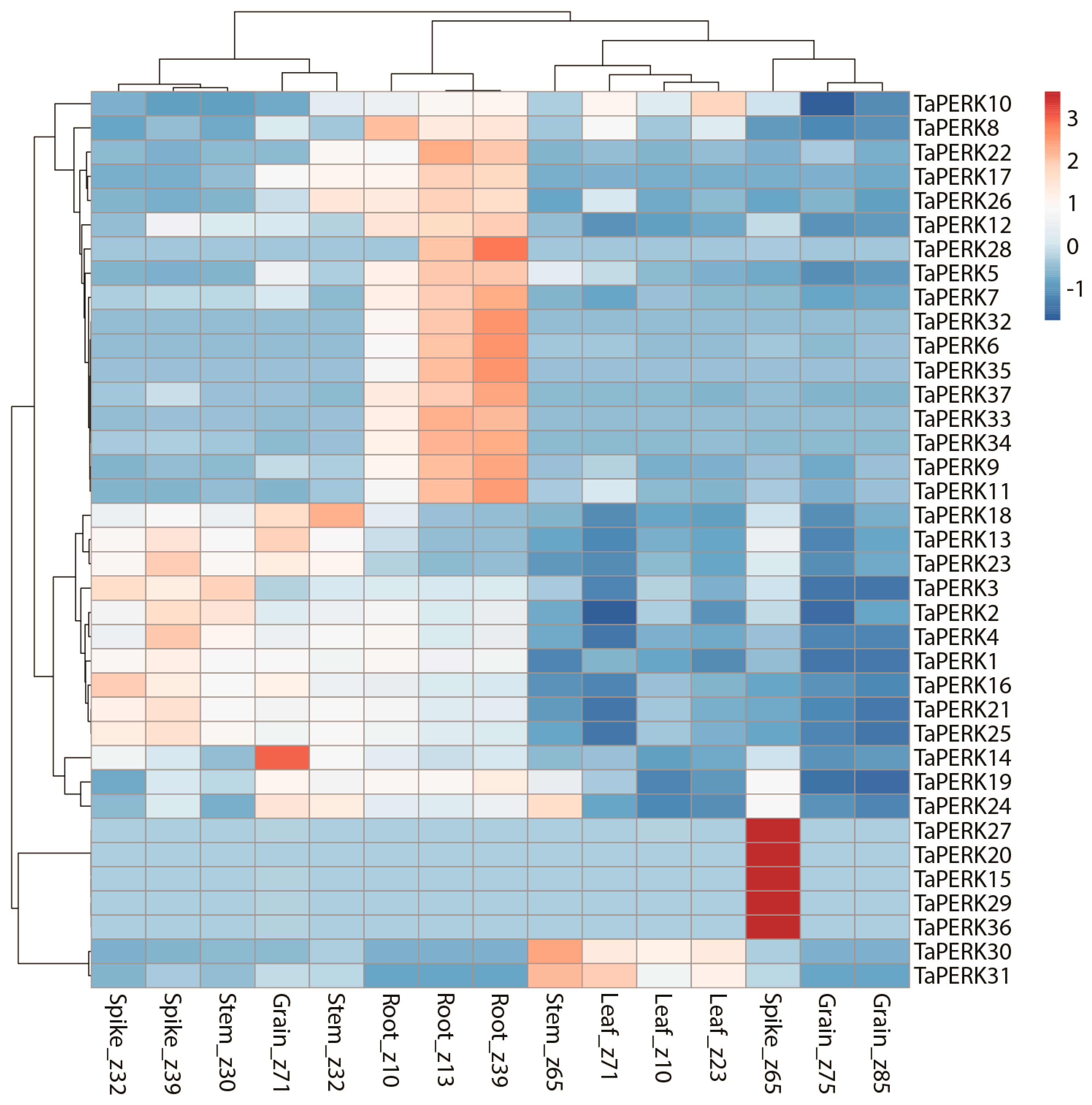 Plants 11 00496 g008 Plants 11 00496 g008