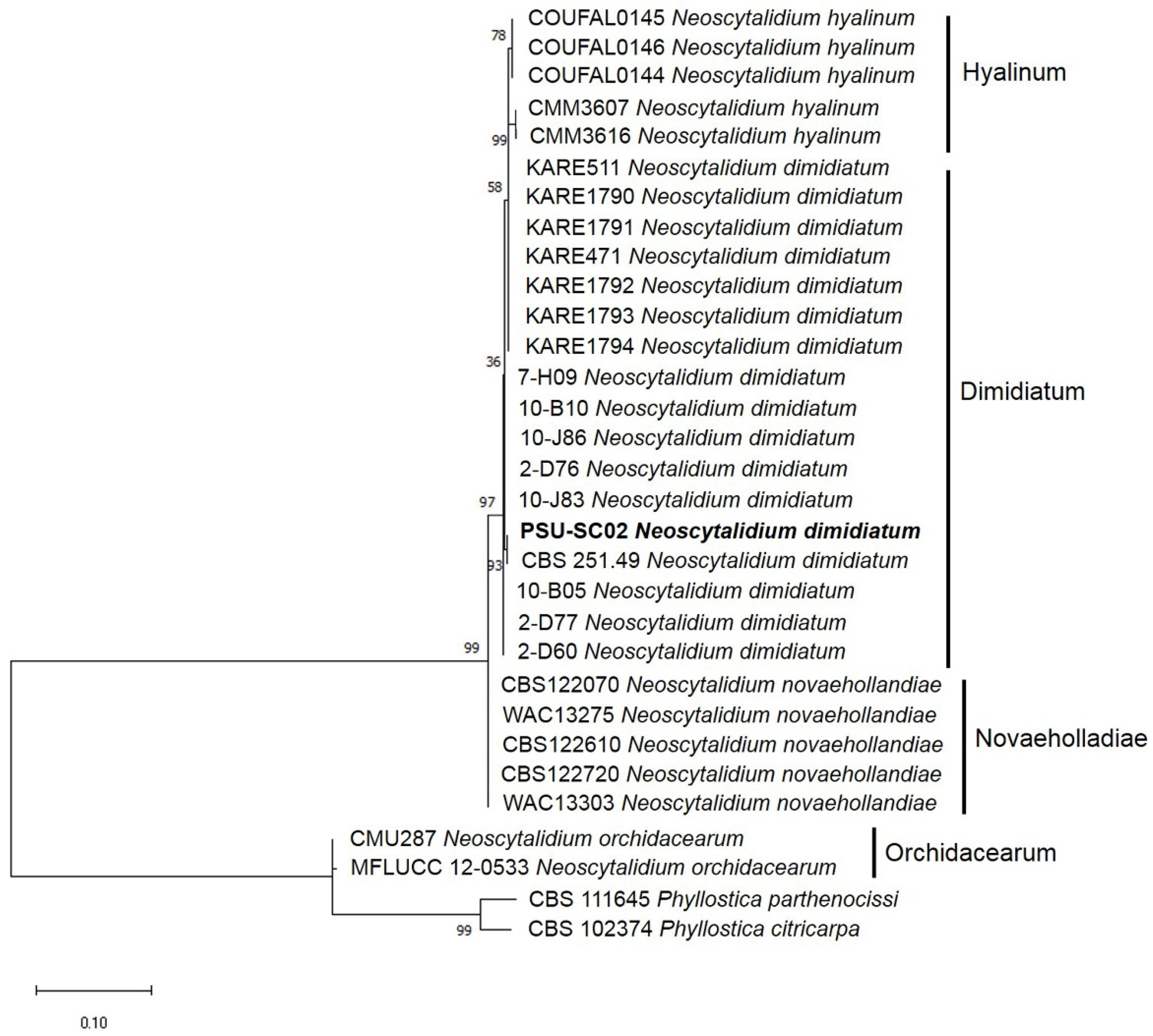 Plants 11 00504 g003