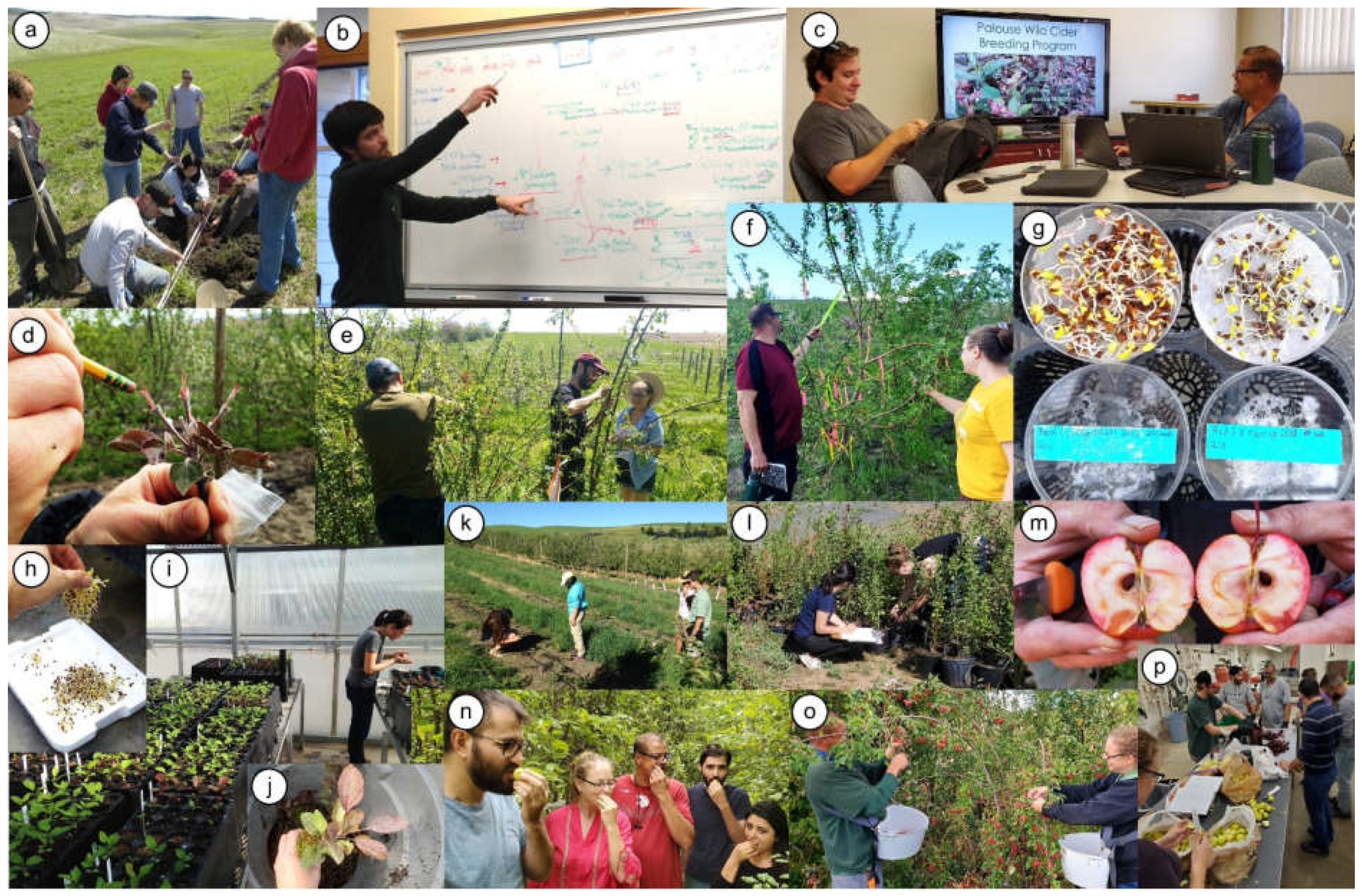 Plants 11 00517 g001