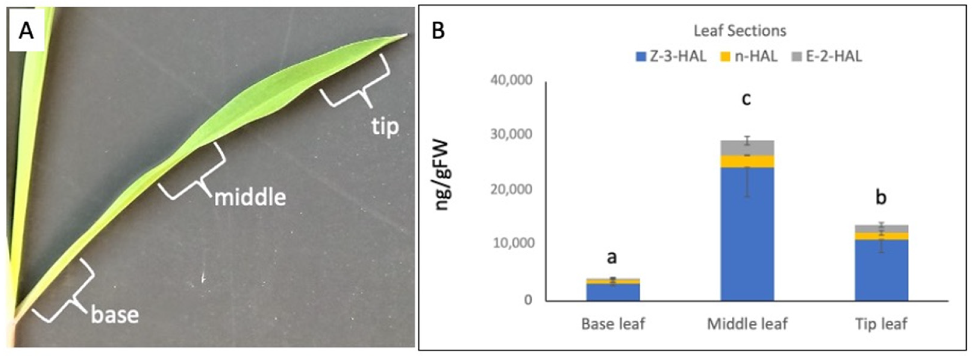 Plants 11 00526 g001