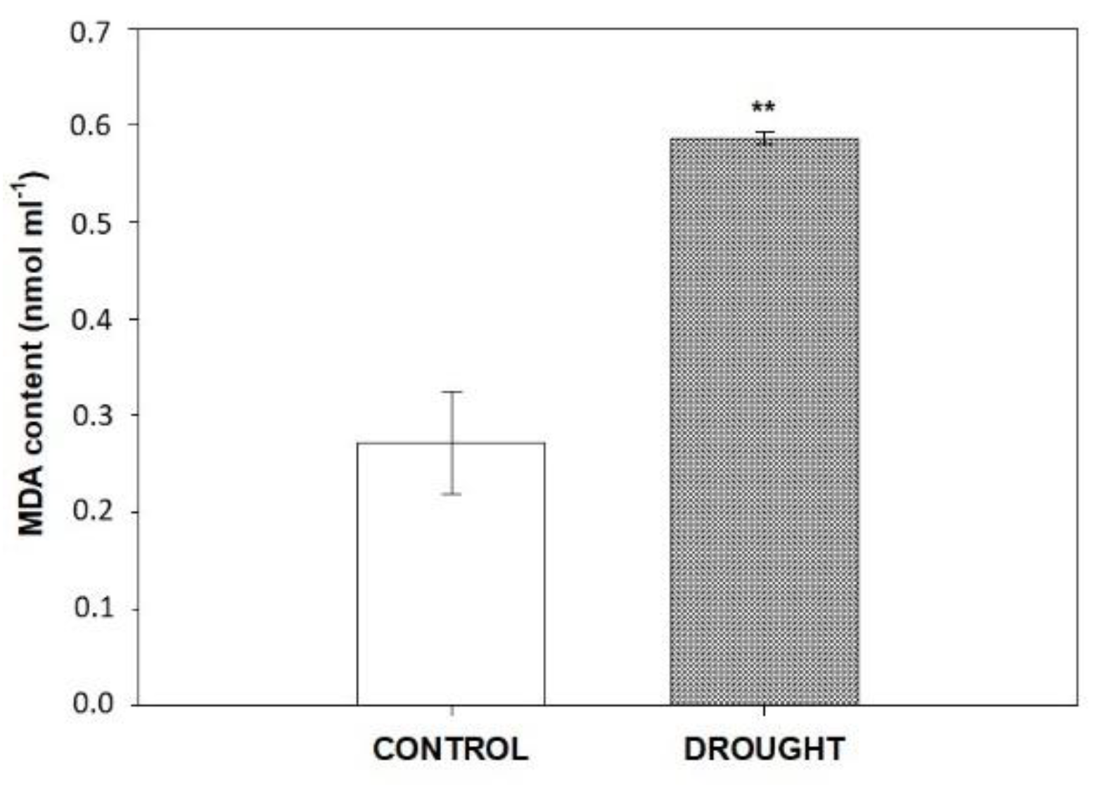 Plants 11 00527 g001