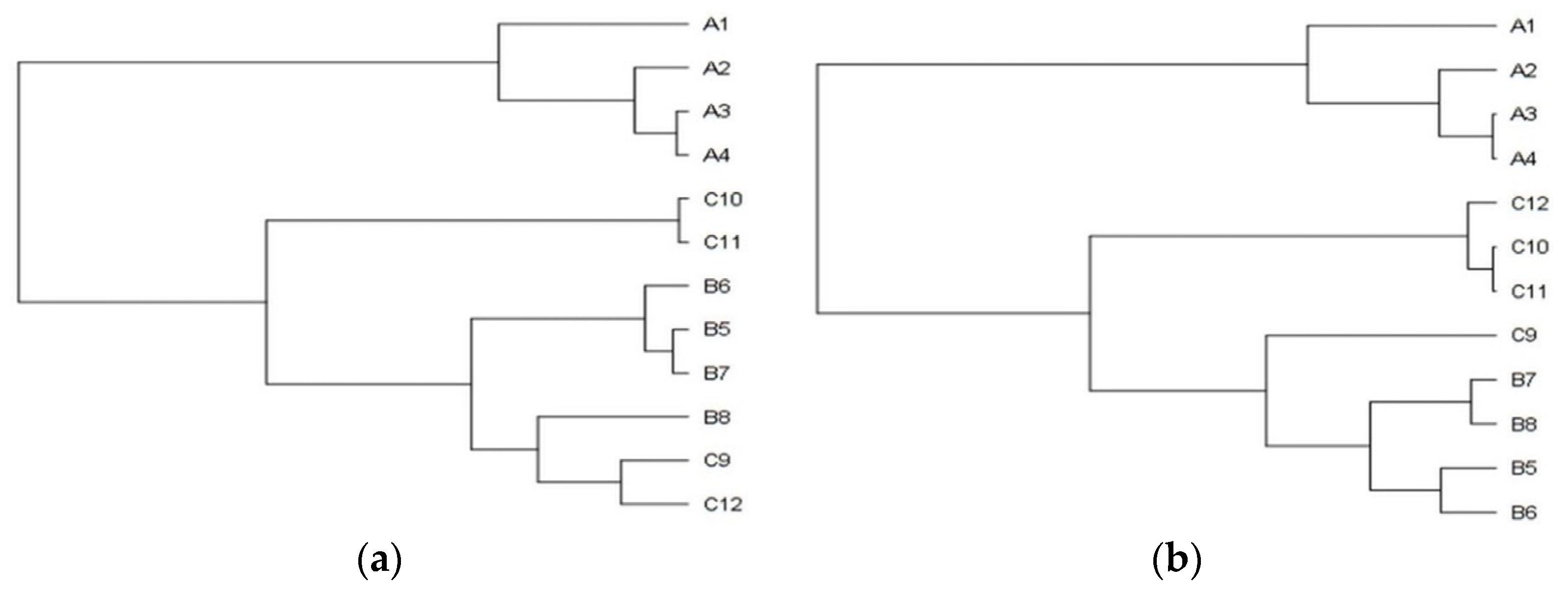 Plants 11 00535 g001