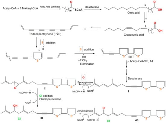 Plants 11 00539 sch002 550