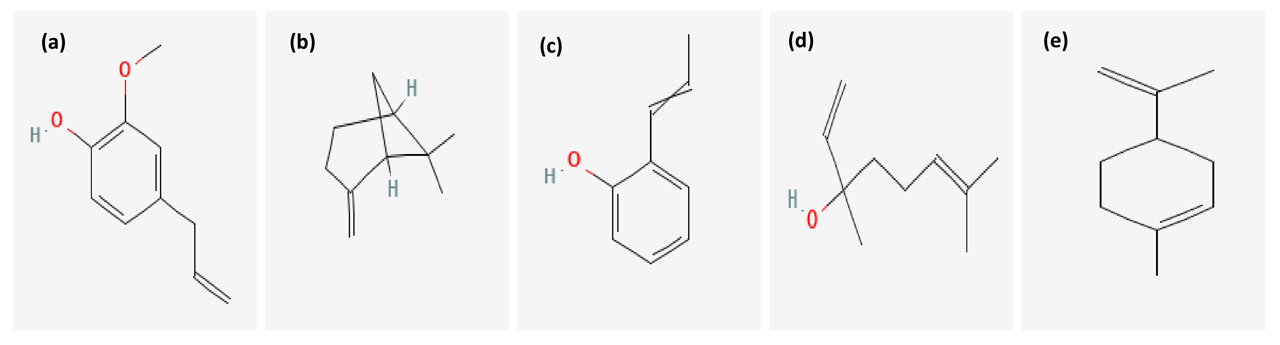 Plants 11 00540 g001