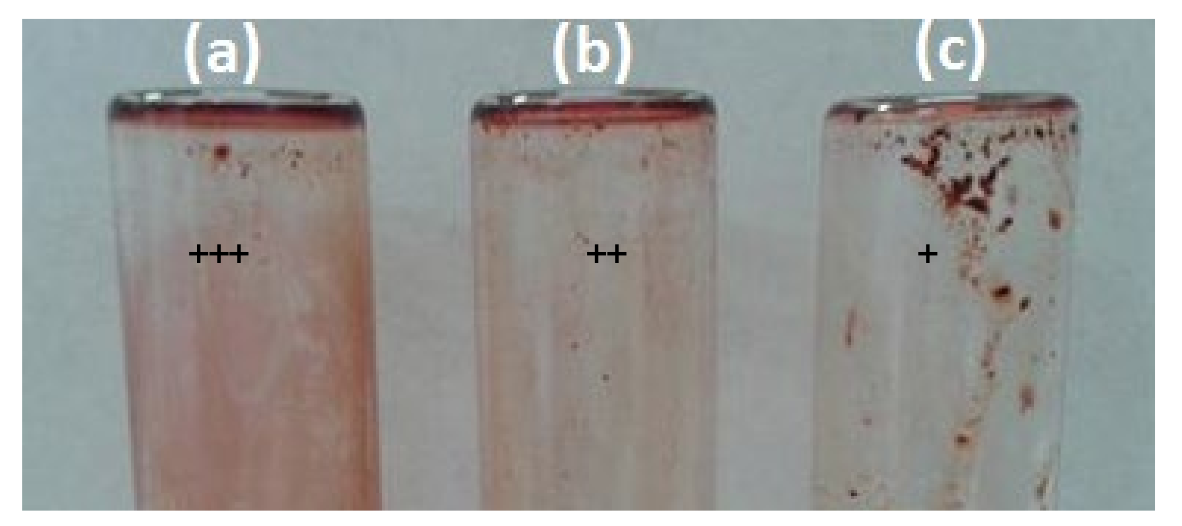 Plants 11 00540 g003