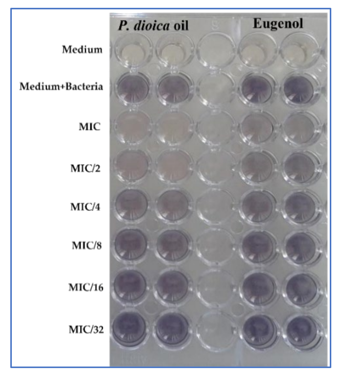 Plants 11 00540 g005