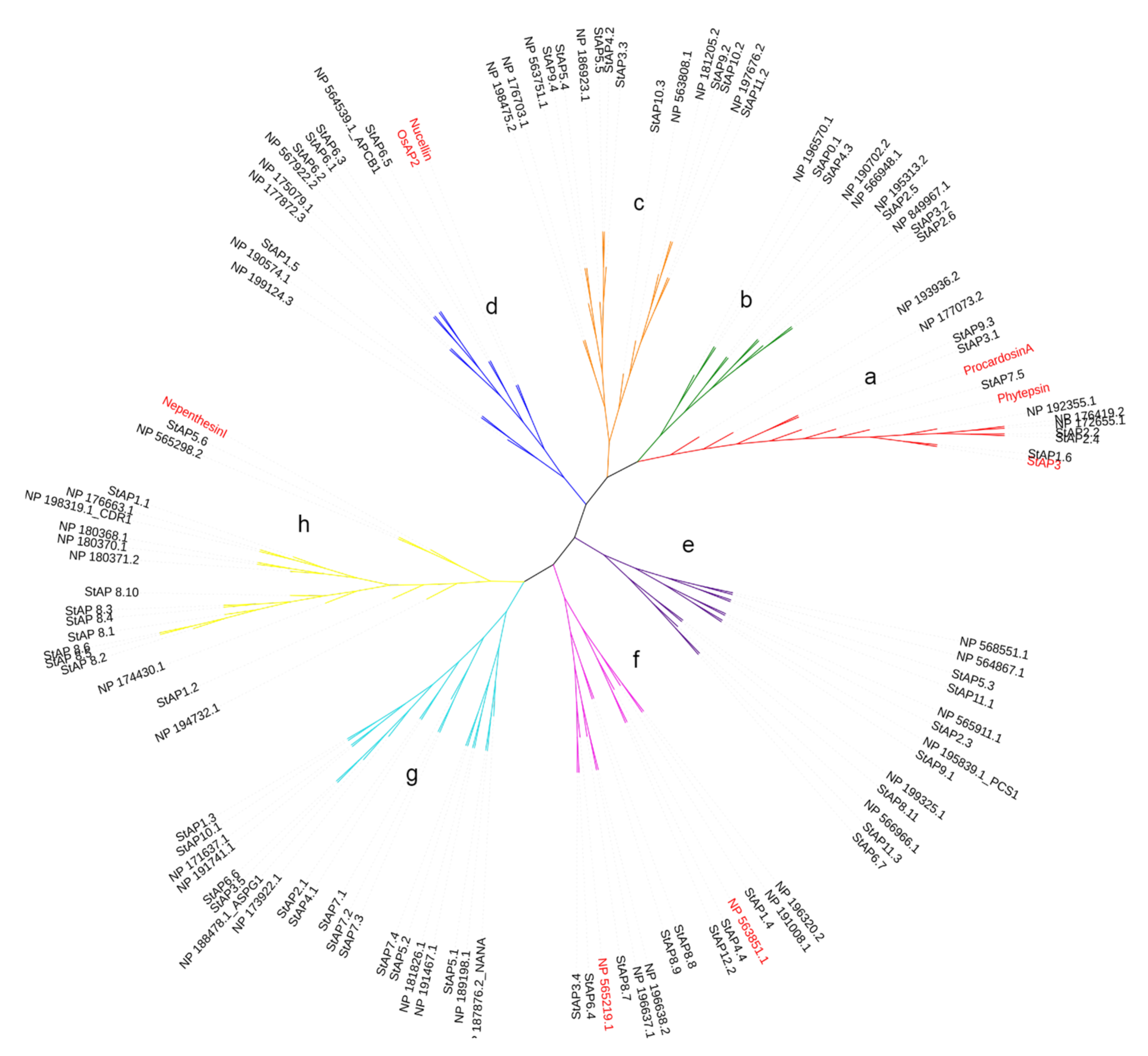Plants 11 00544 g001 Plants 11 00544 g001