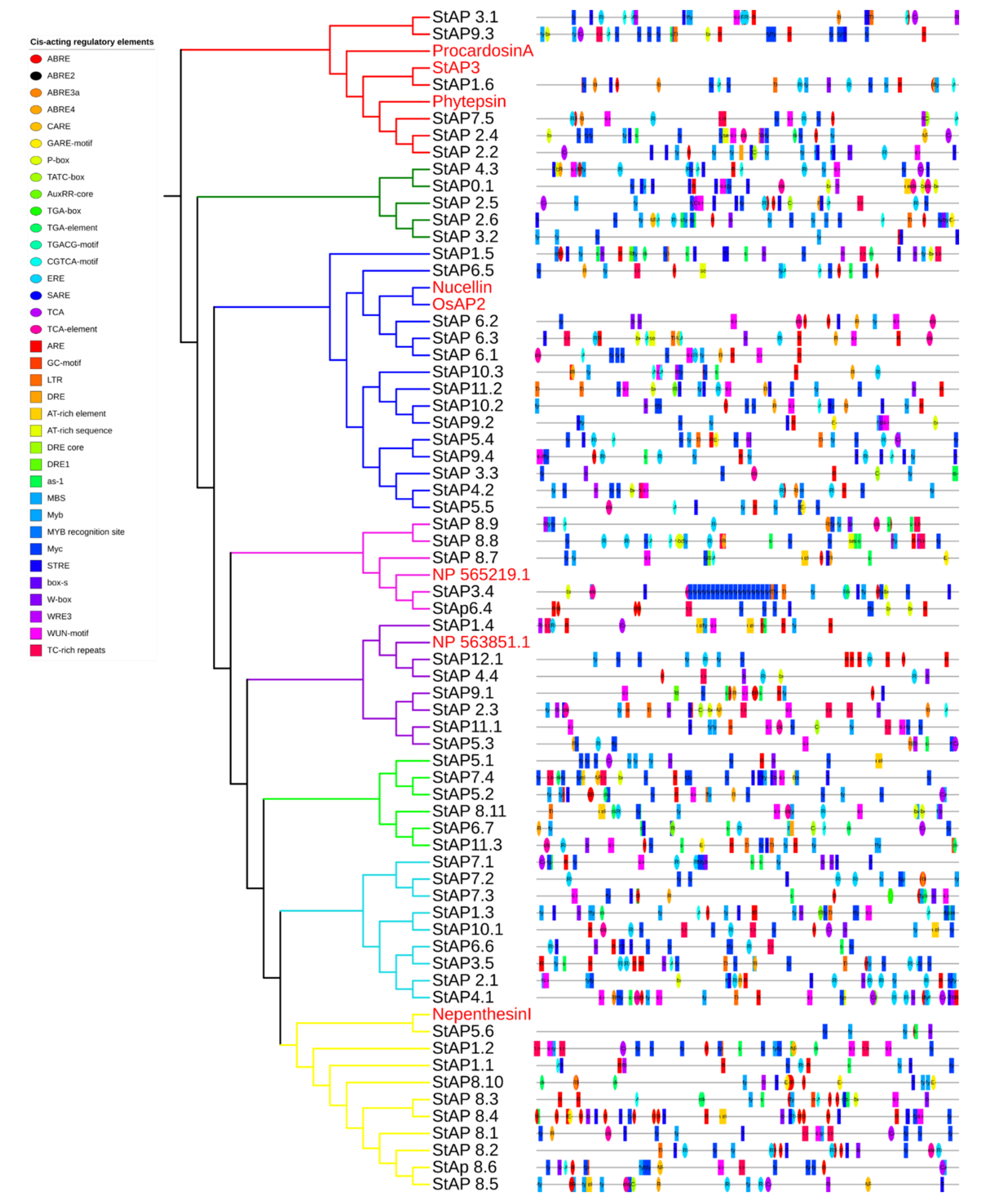 Plants 11 00544 g005 Plants 11 00544 g005