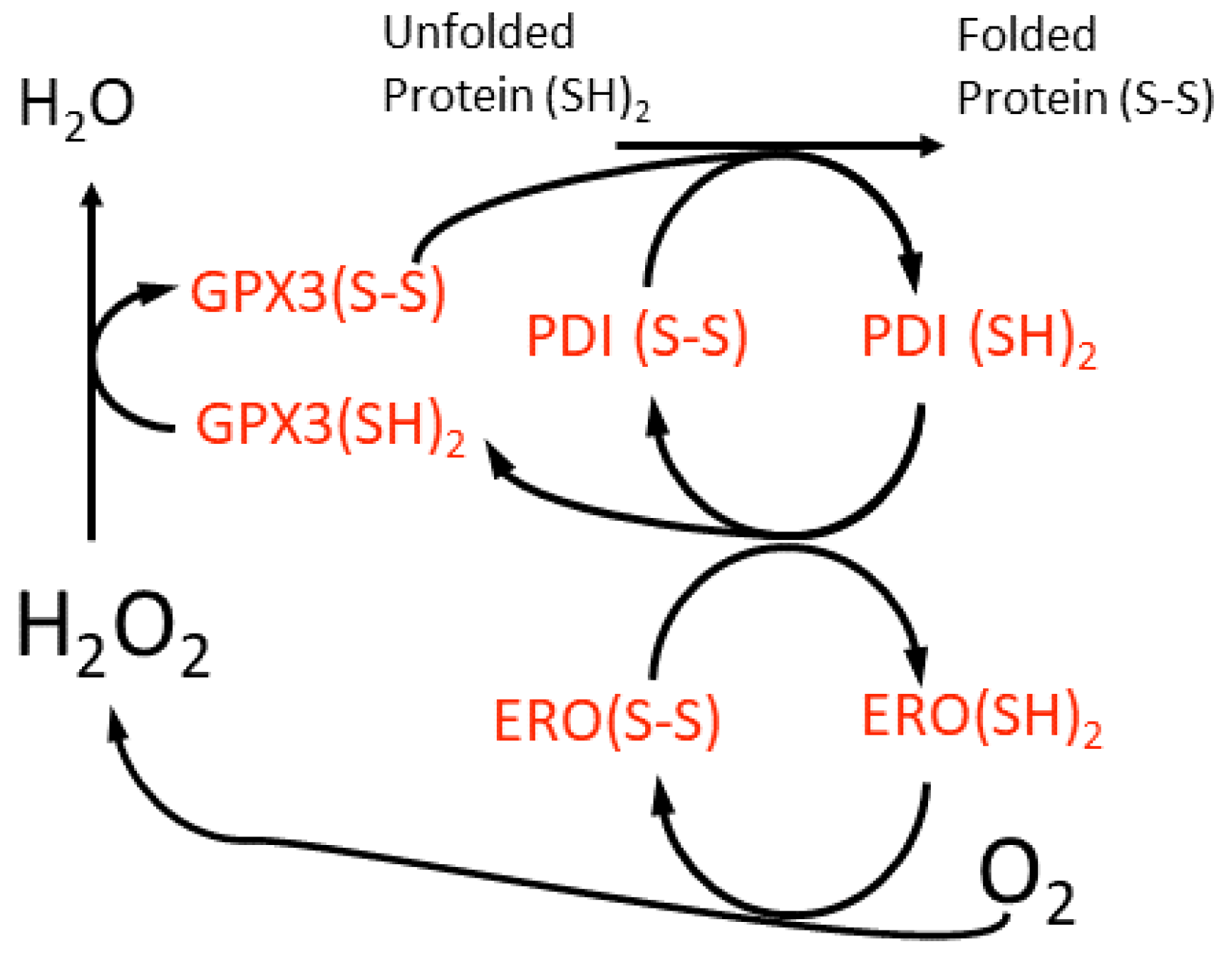 Plants 11 00552 g003