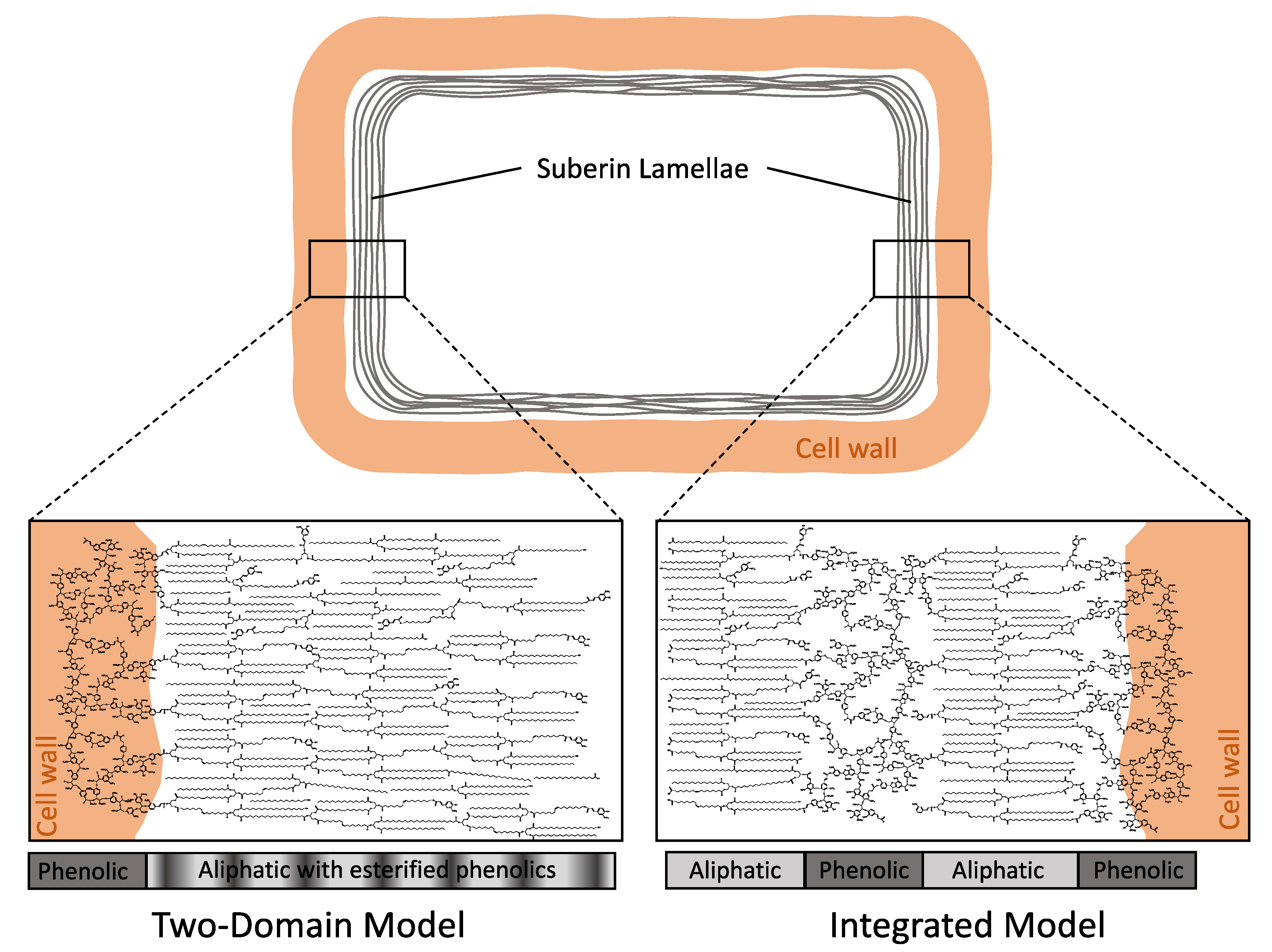 Plants 11 00555 g001 Plants 11 00555 g001