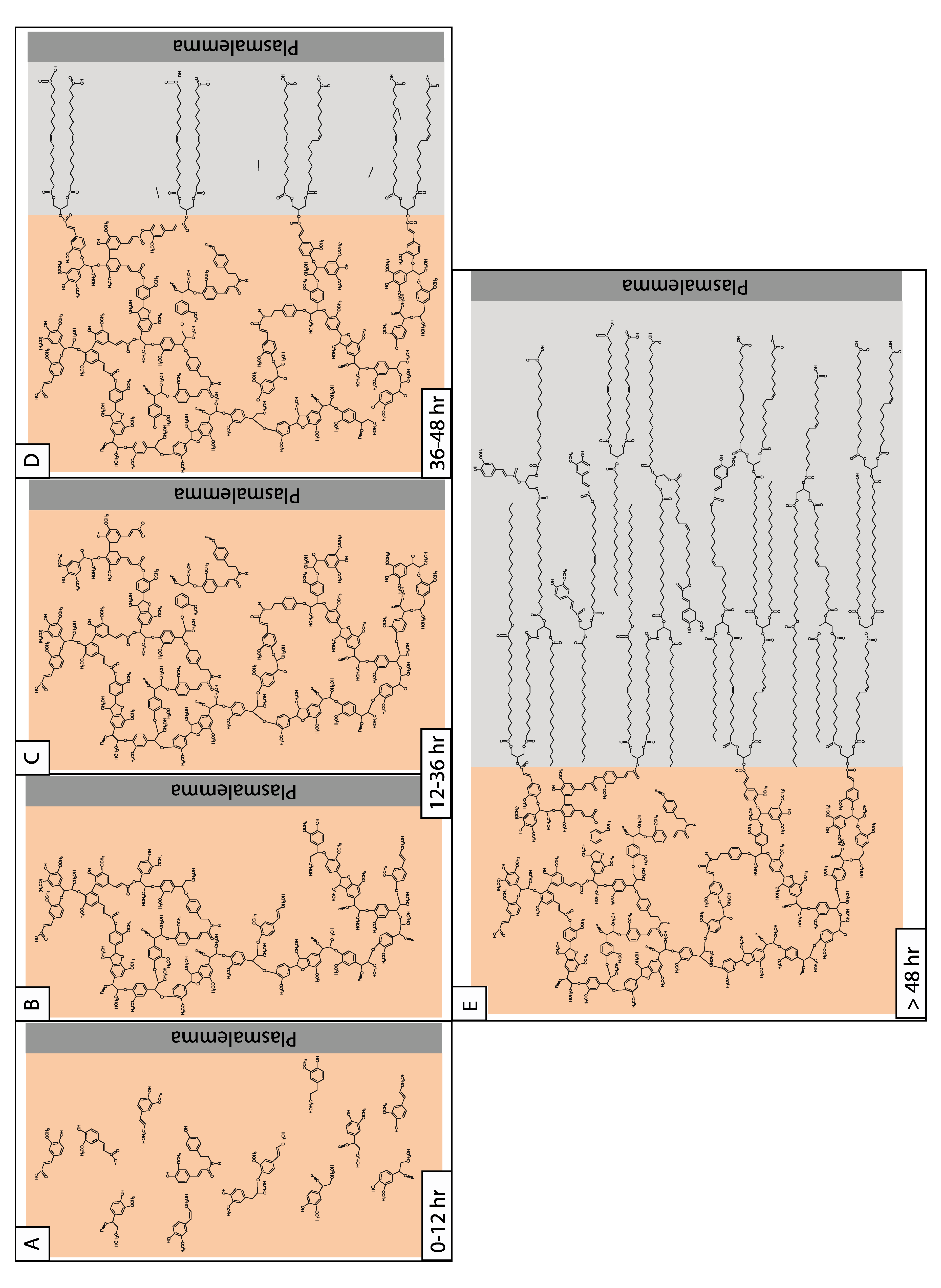 Plants 11 00555 g003 Plants 11 00555 g003