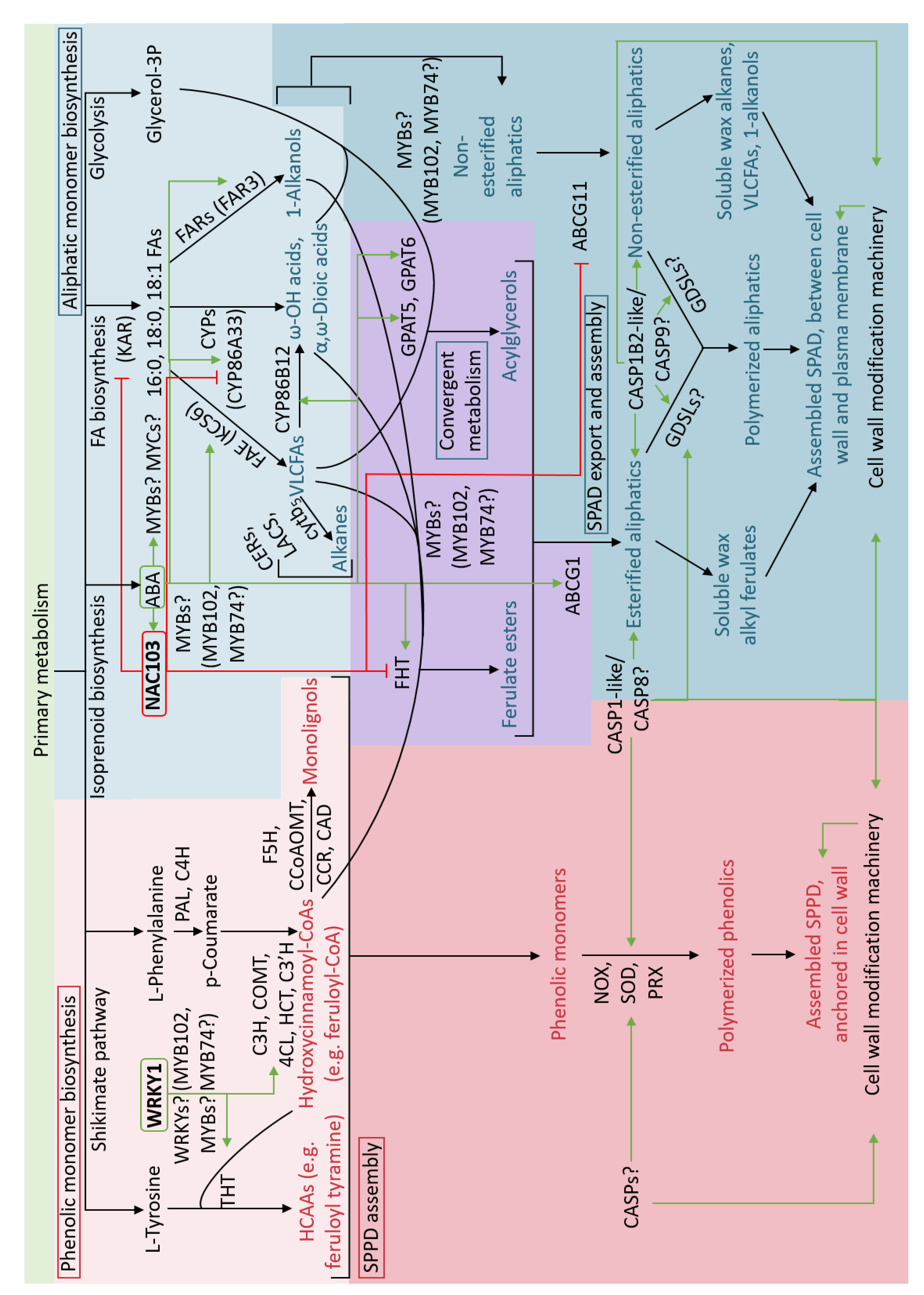Plants 11 00555 g004 Plants 11 00555 g004