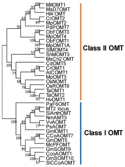 Plants 11 00564 g005