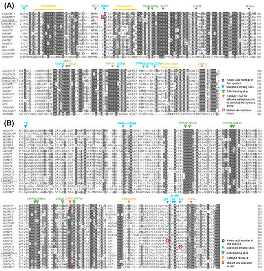 Plants 11 00564 g006