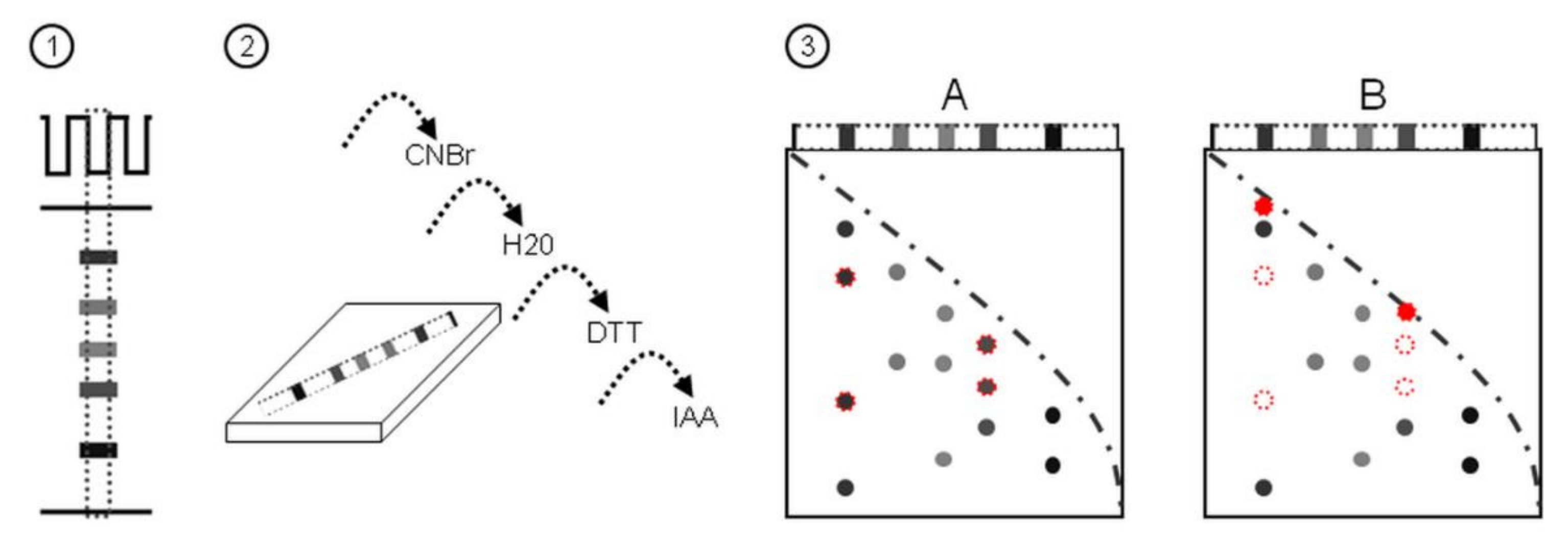 Plants 11 00569 g001