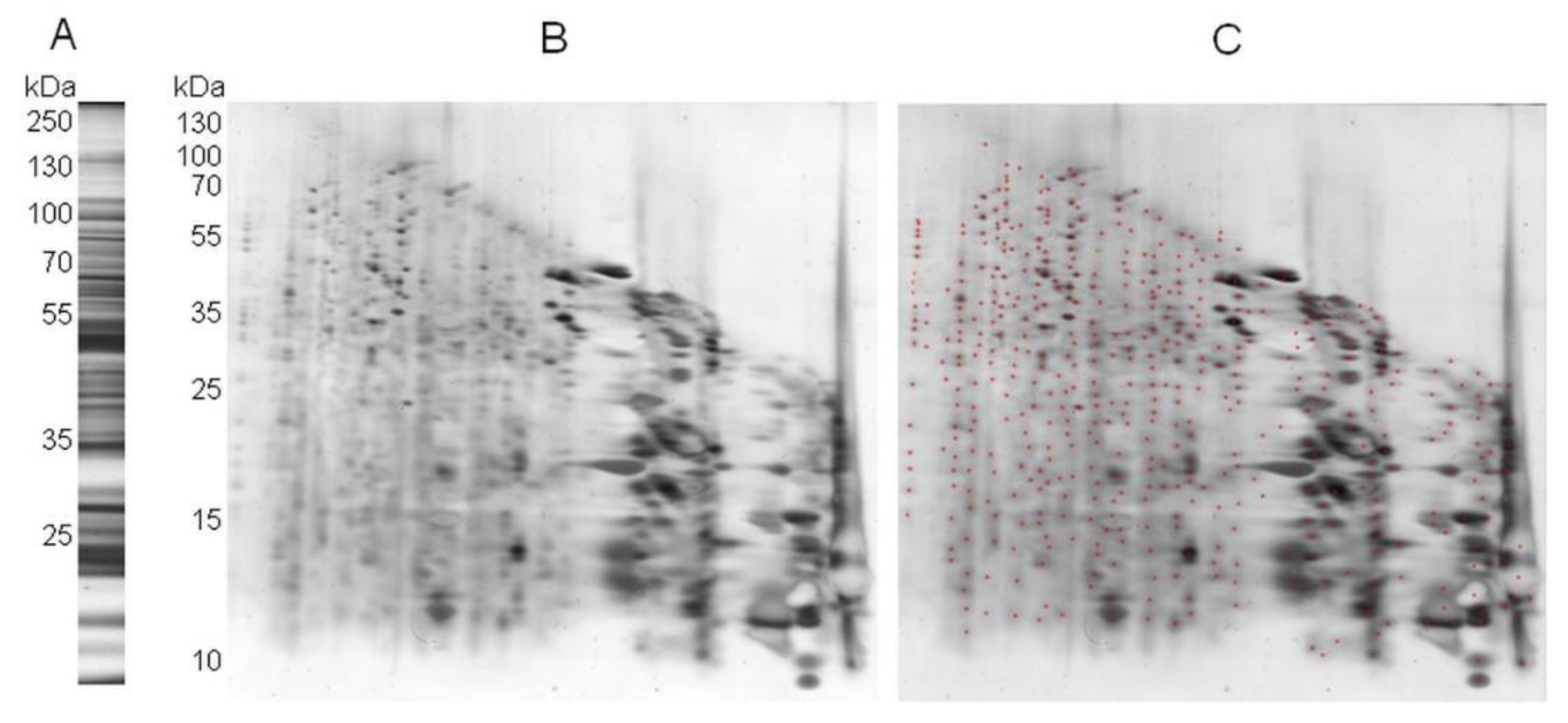 Plants 11 00569 g003