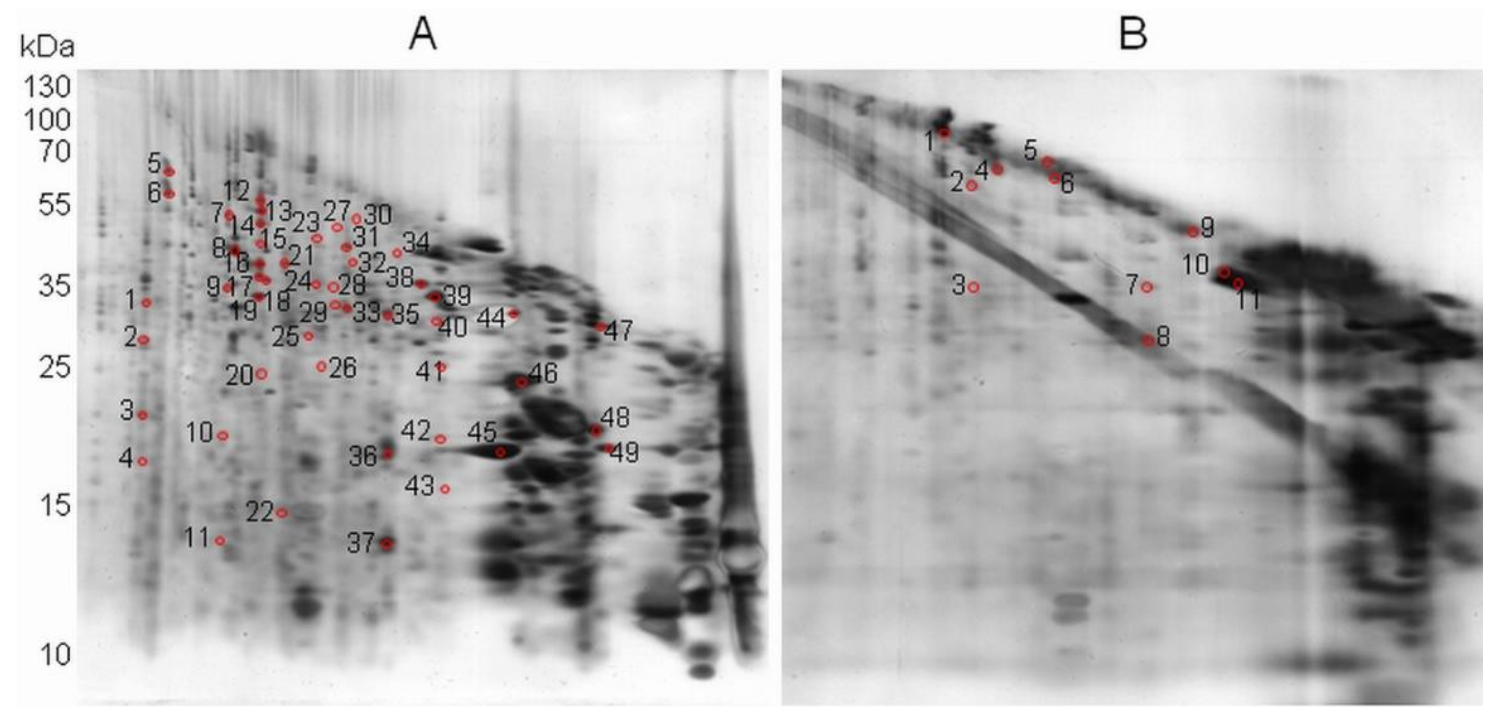 Plants 11 00569 g004