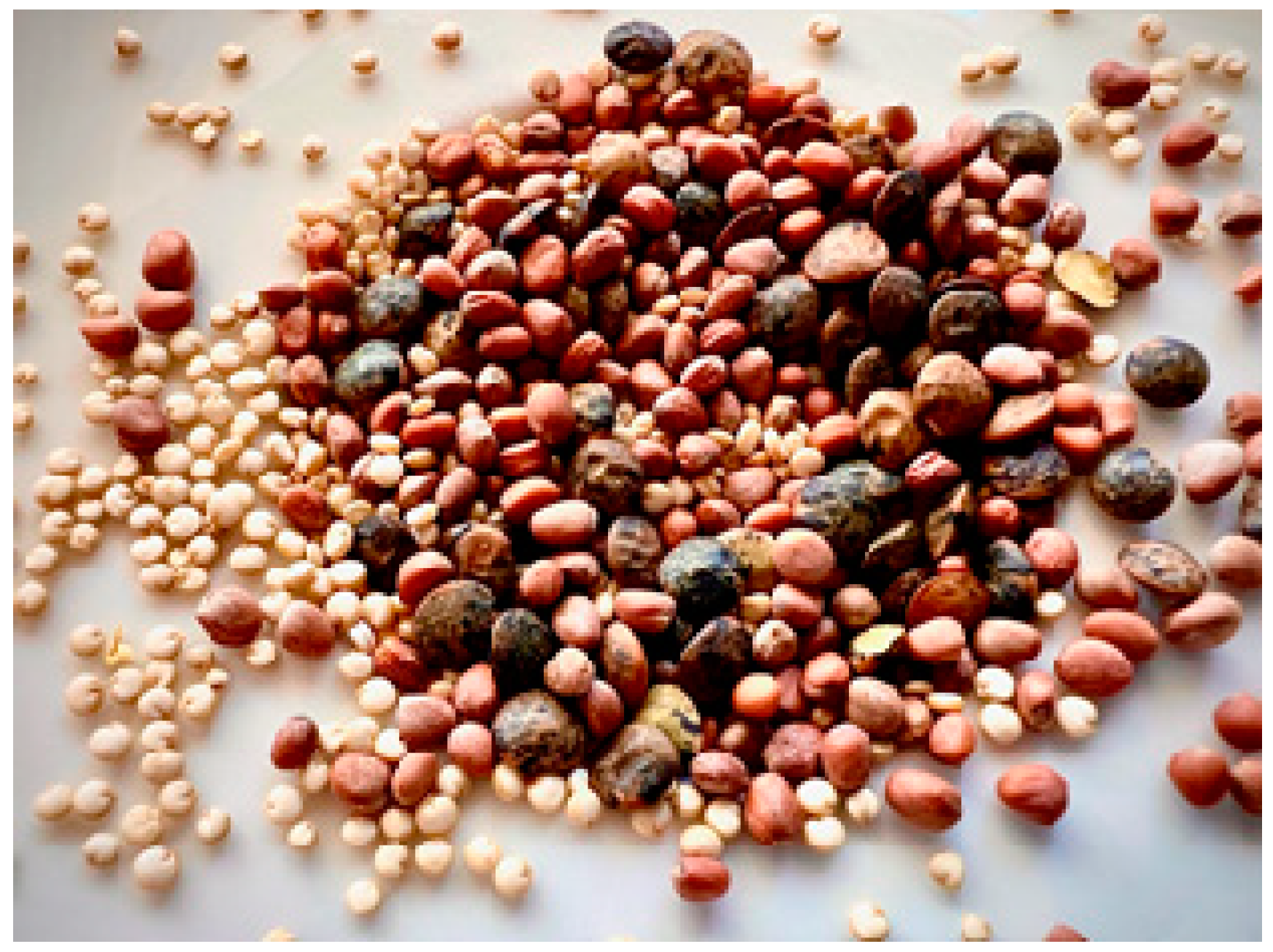 Plants 11 00571 g001