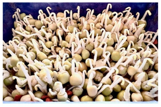 Plants 11 00571 g002 550