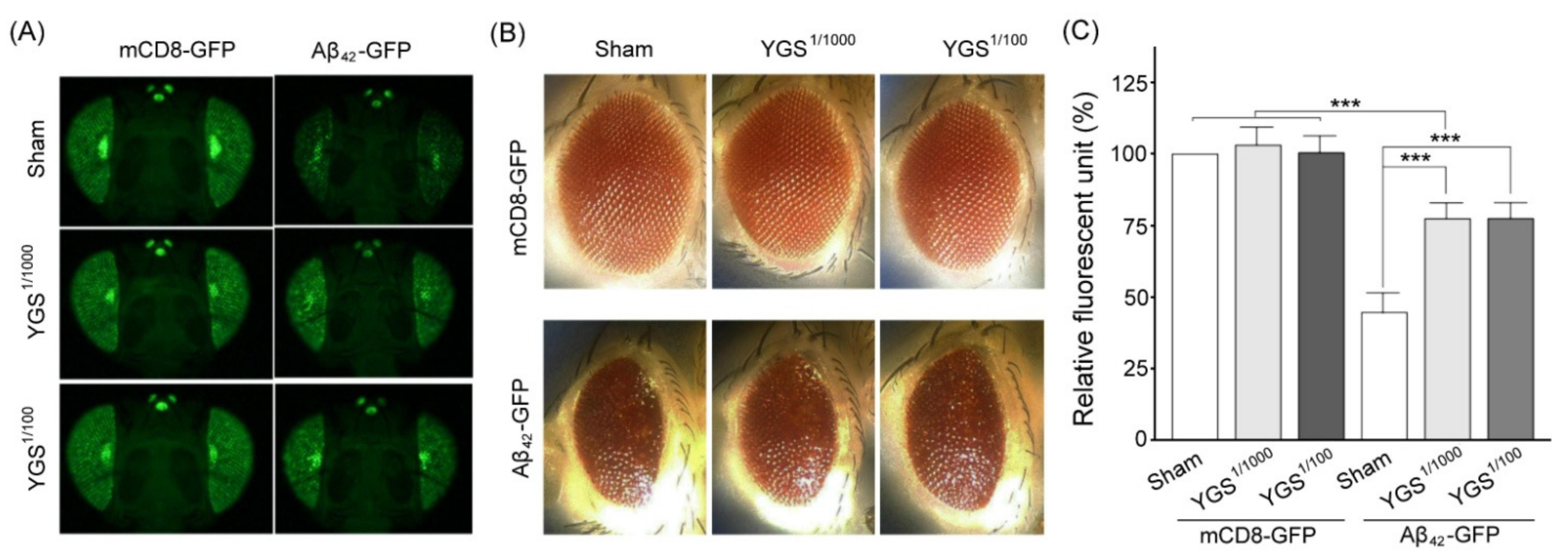 Plants 11 00572 g005