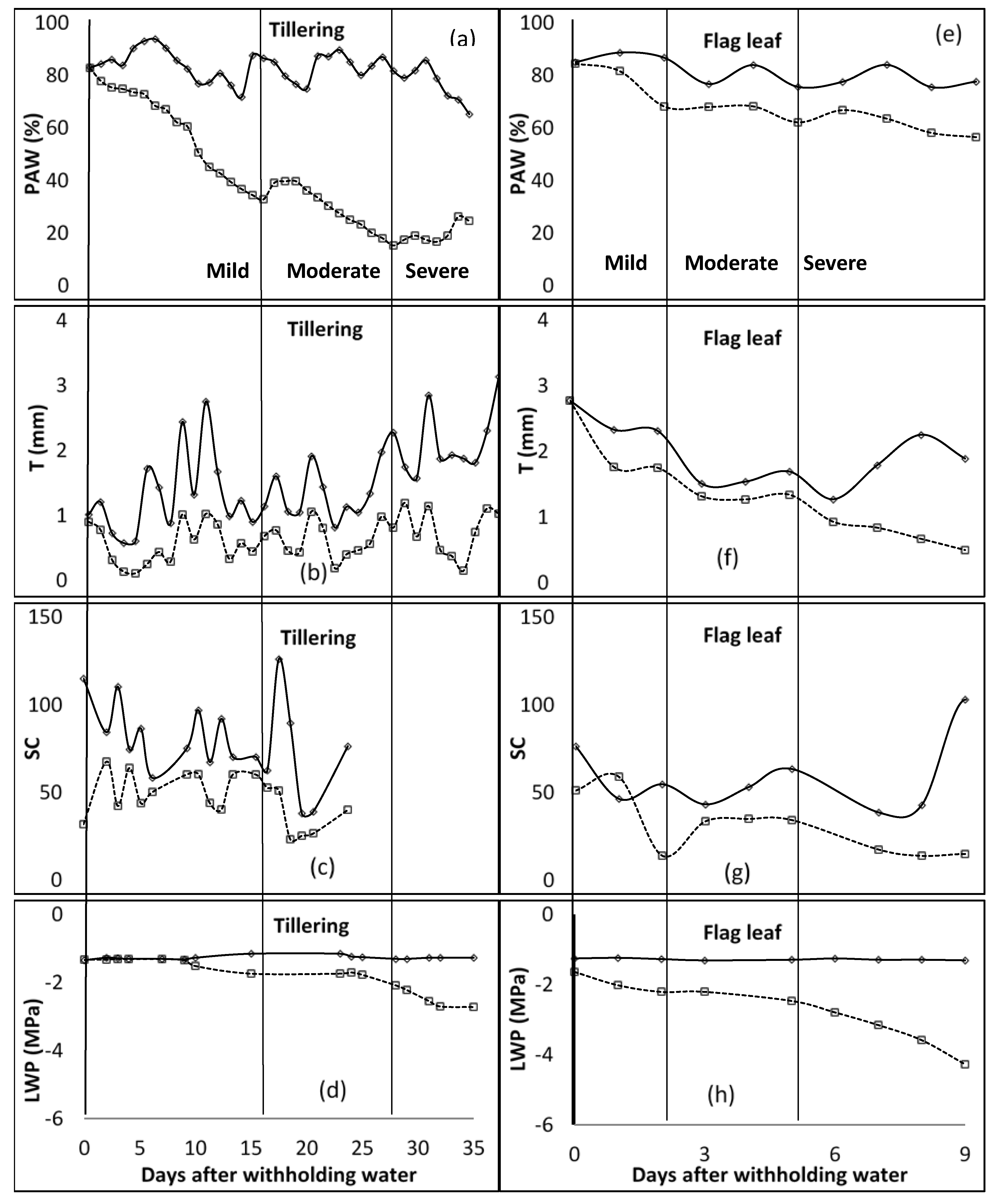 Plants 11 00578 g001