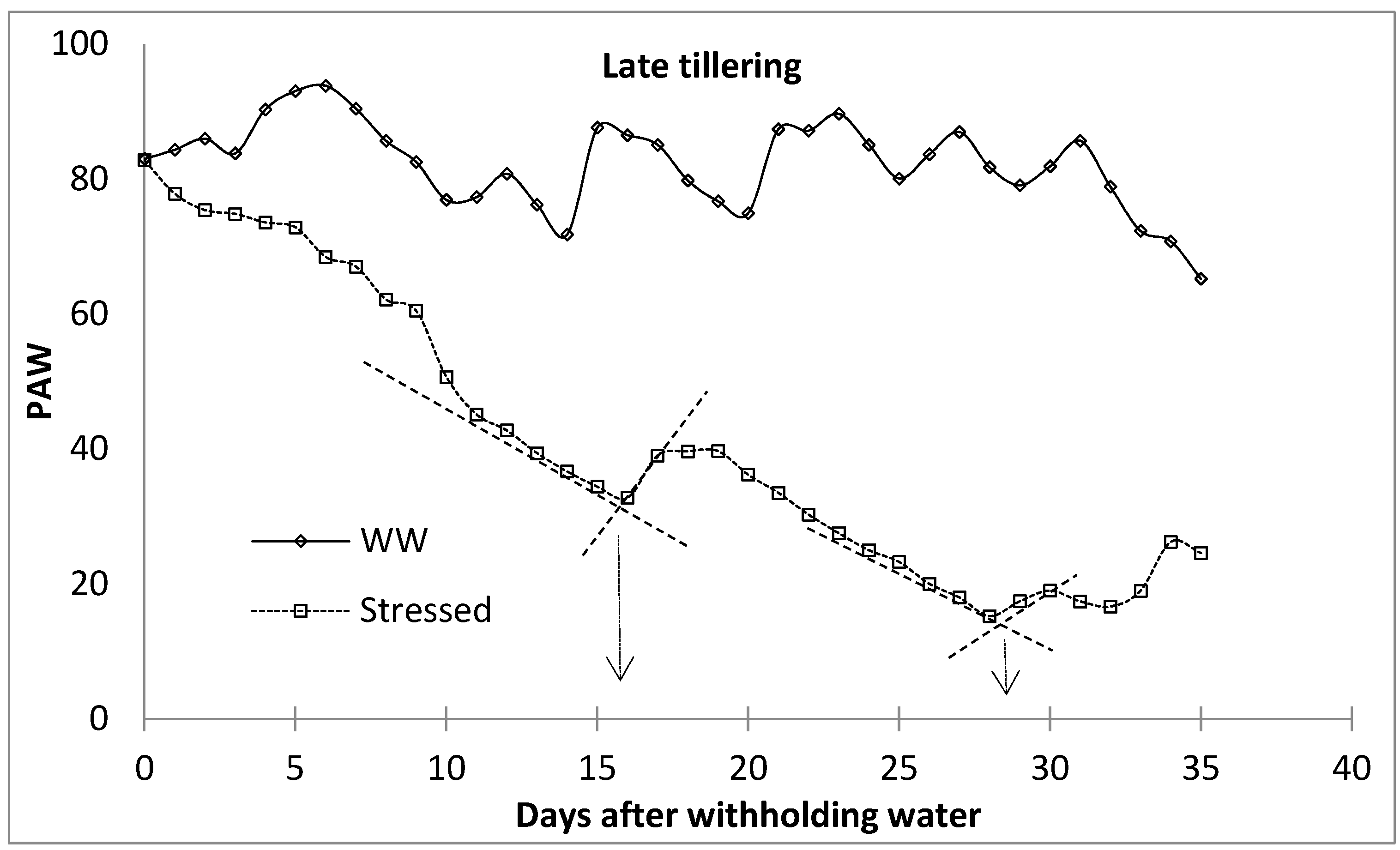 Plants 11 00578 g004