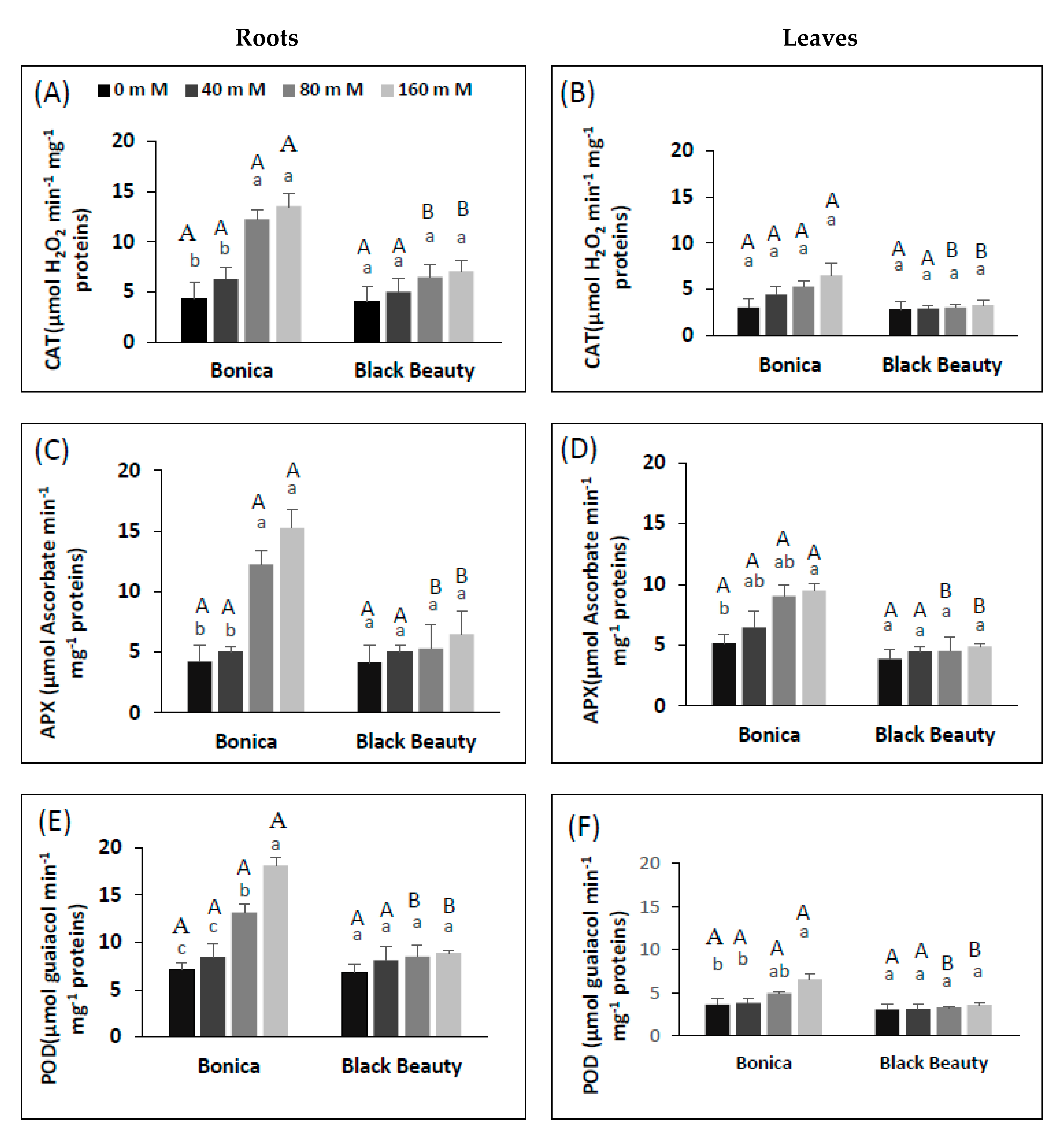 Plants 11 00590 g007