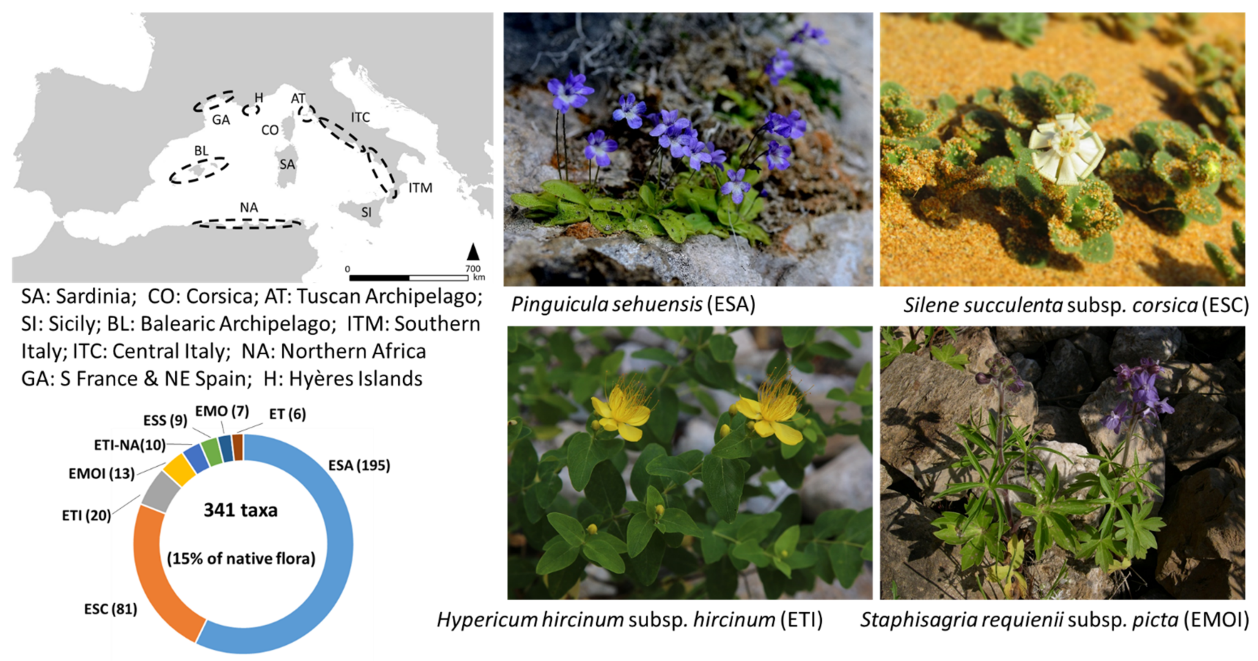 Plants 11 00601 g001