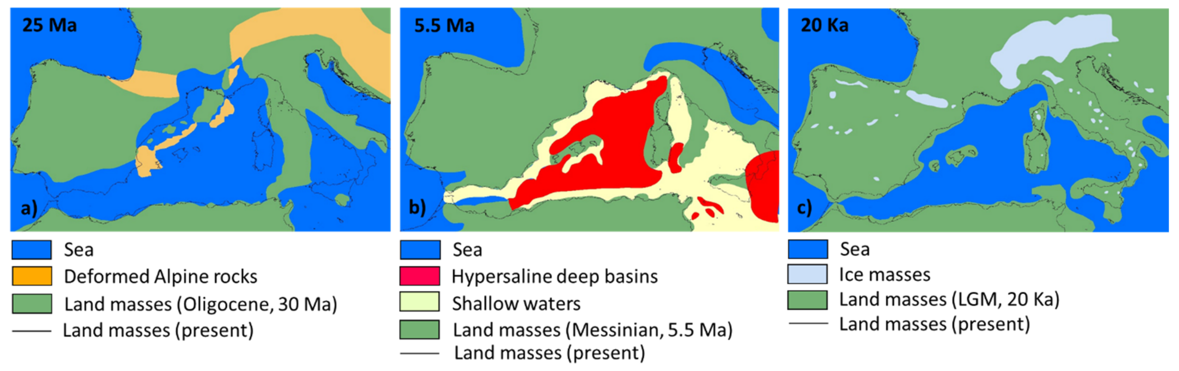 Plants 11 00601 g003