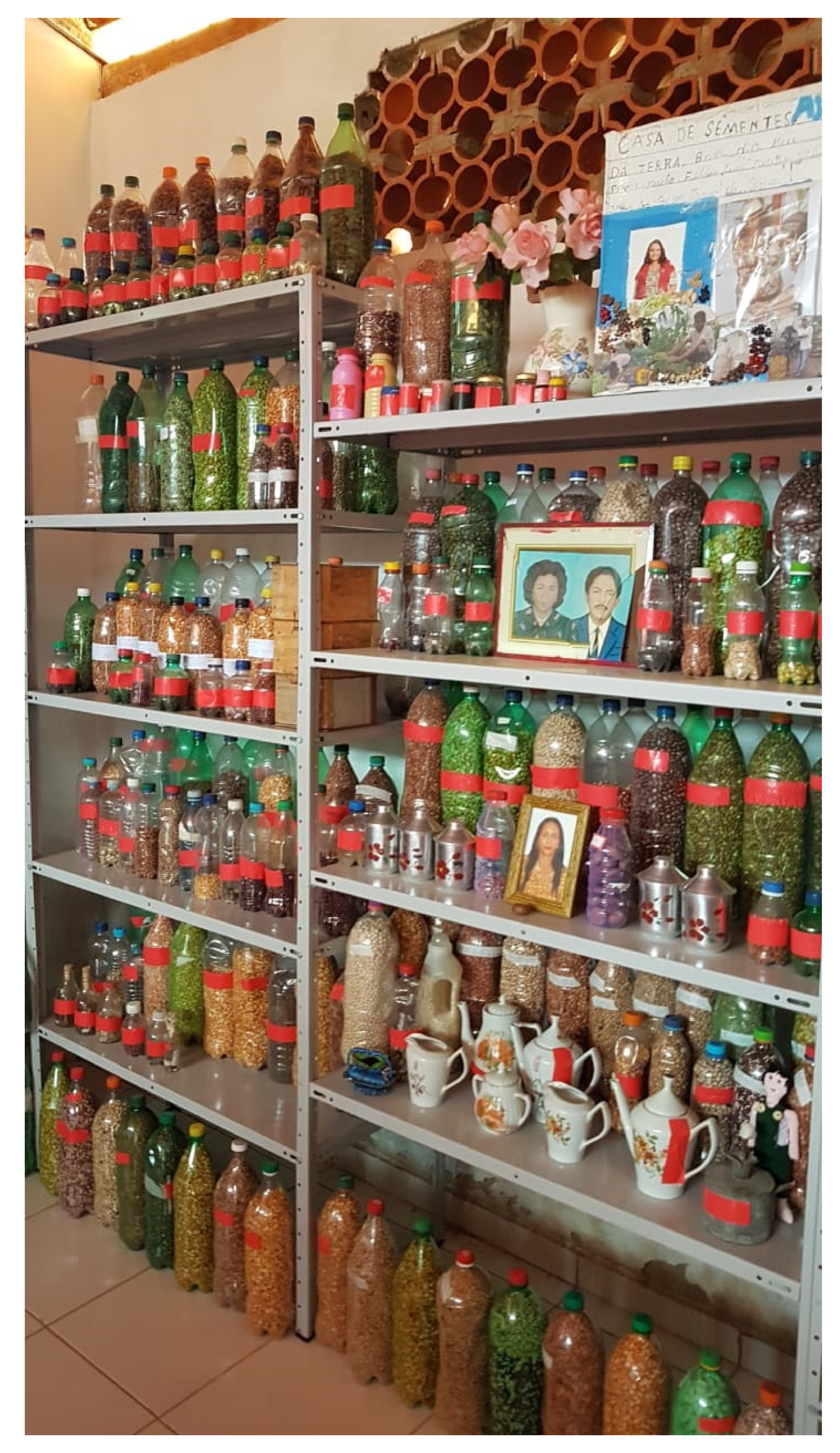 Plants 11 00603 g006