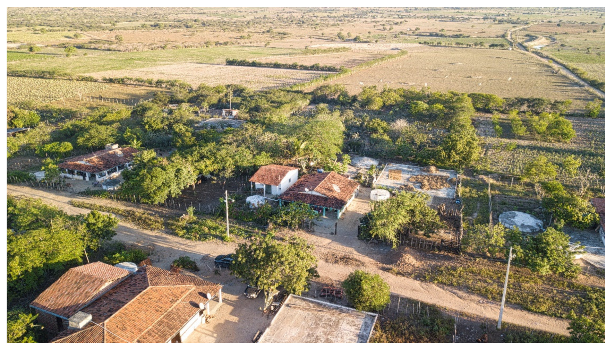 Plants 11 00603 g009