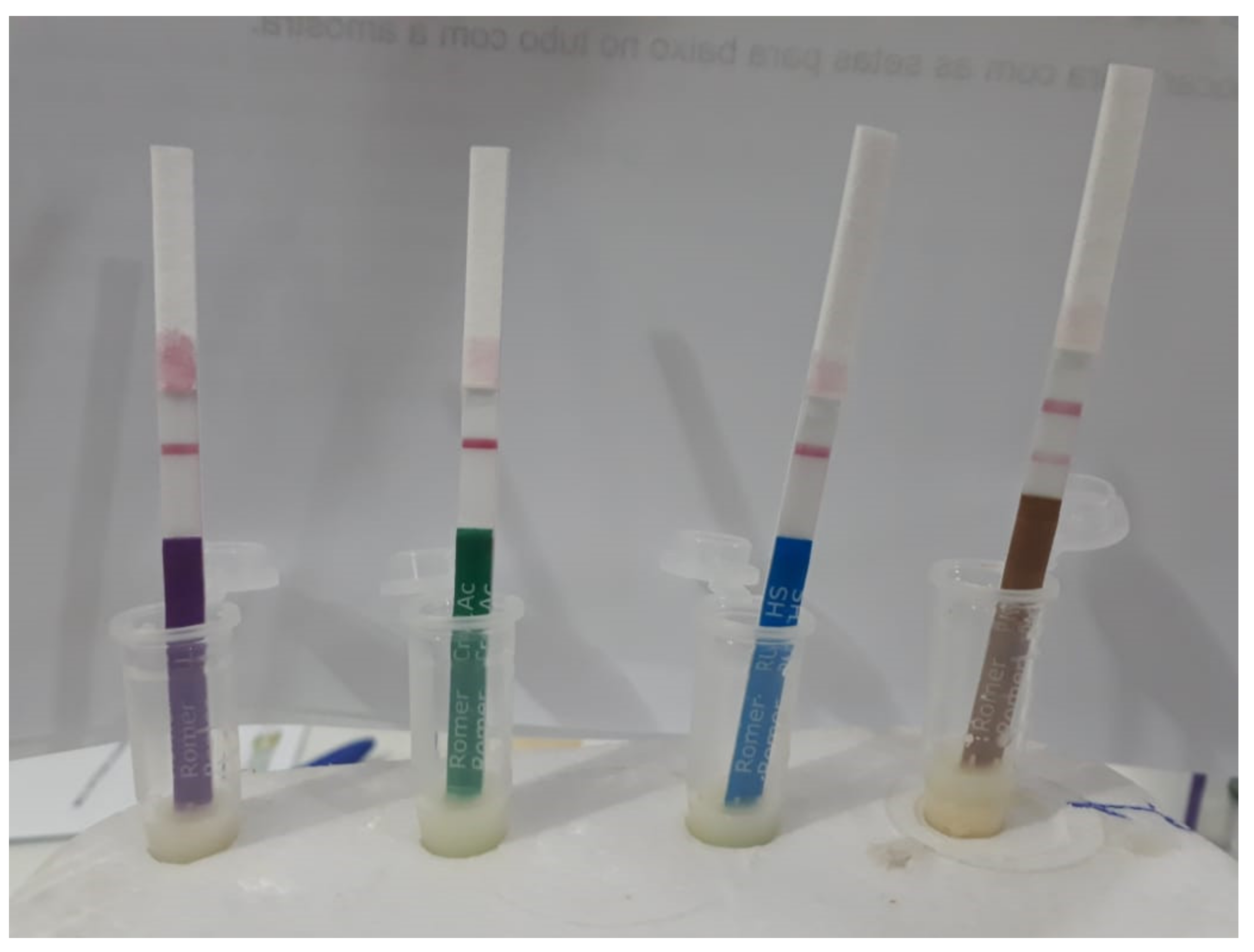 Plants 11 00603 g011