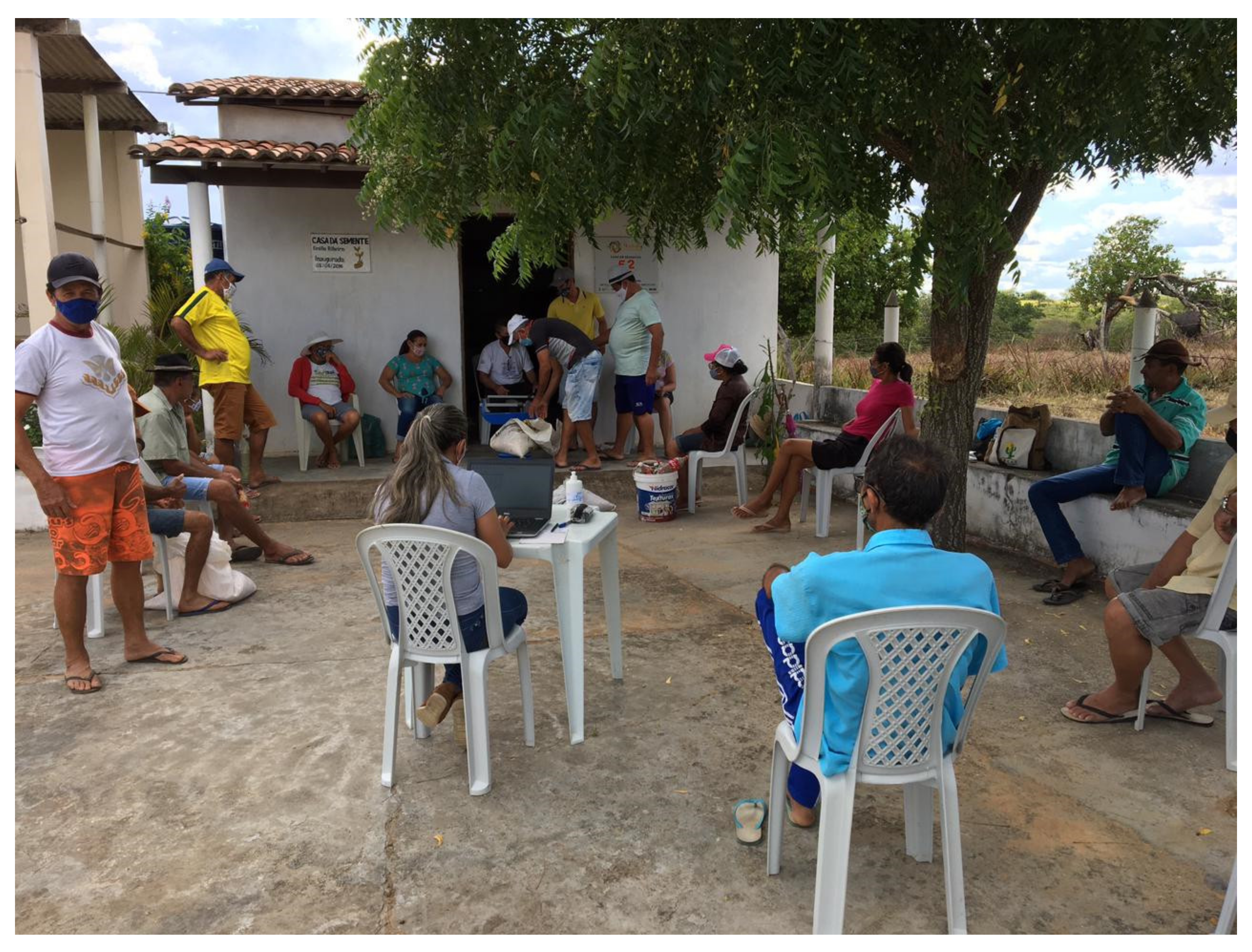 Plants 11 00603 g012