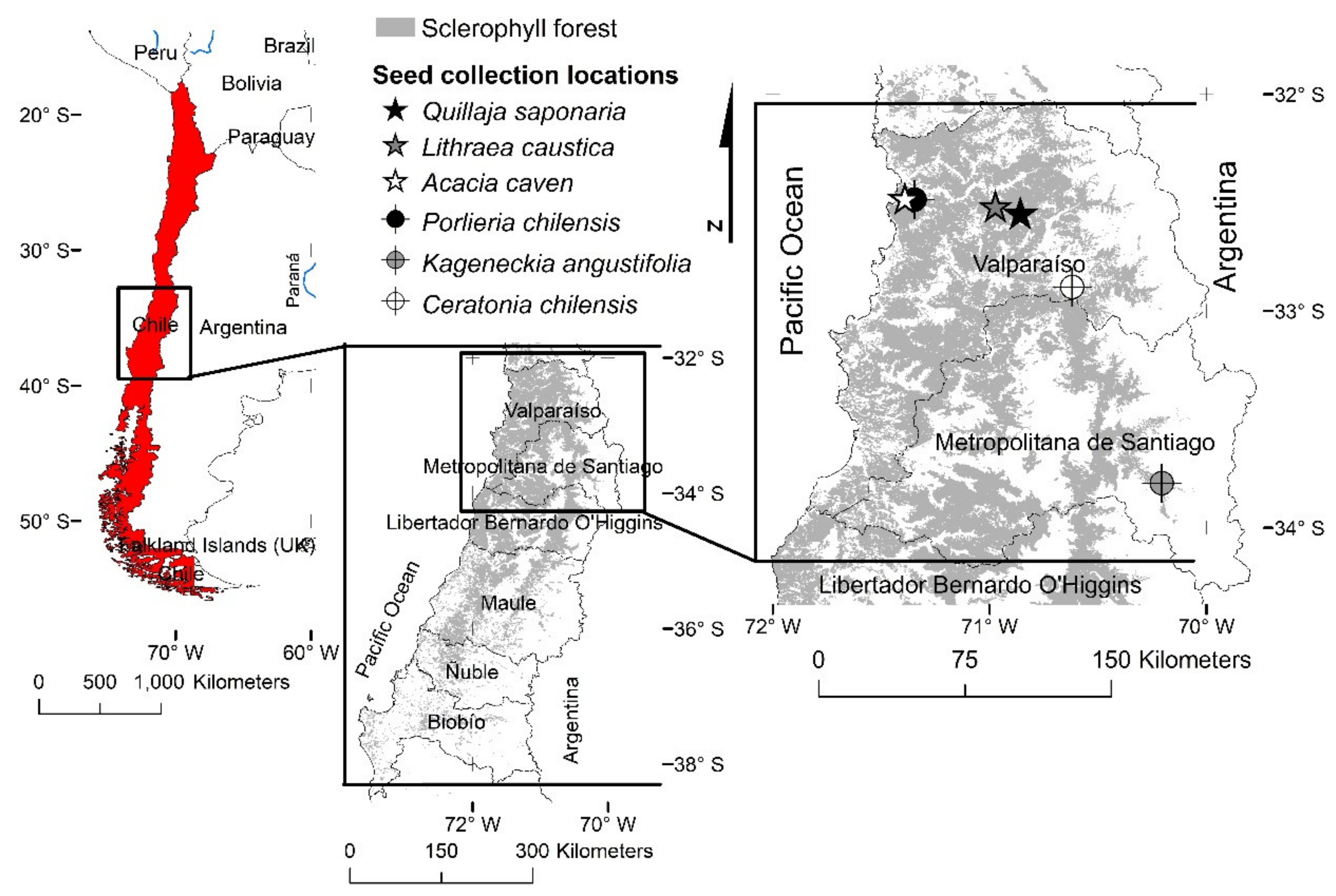 Plants 11 00608 g002