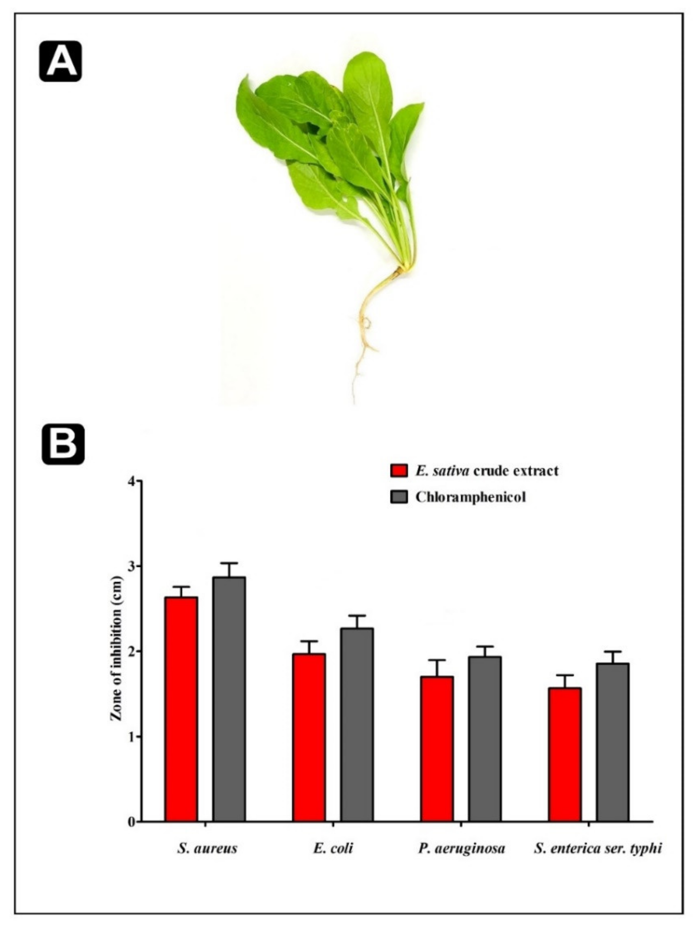 Plants 11 00610 g002