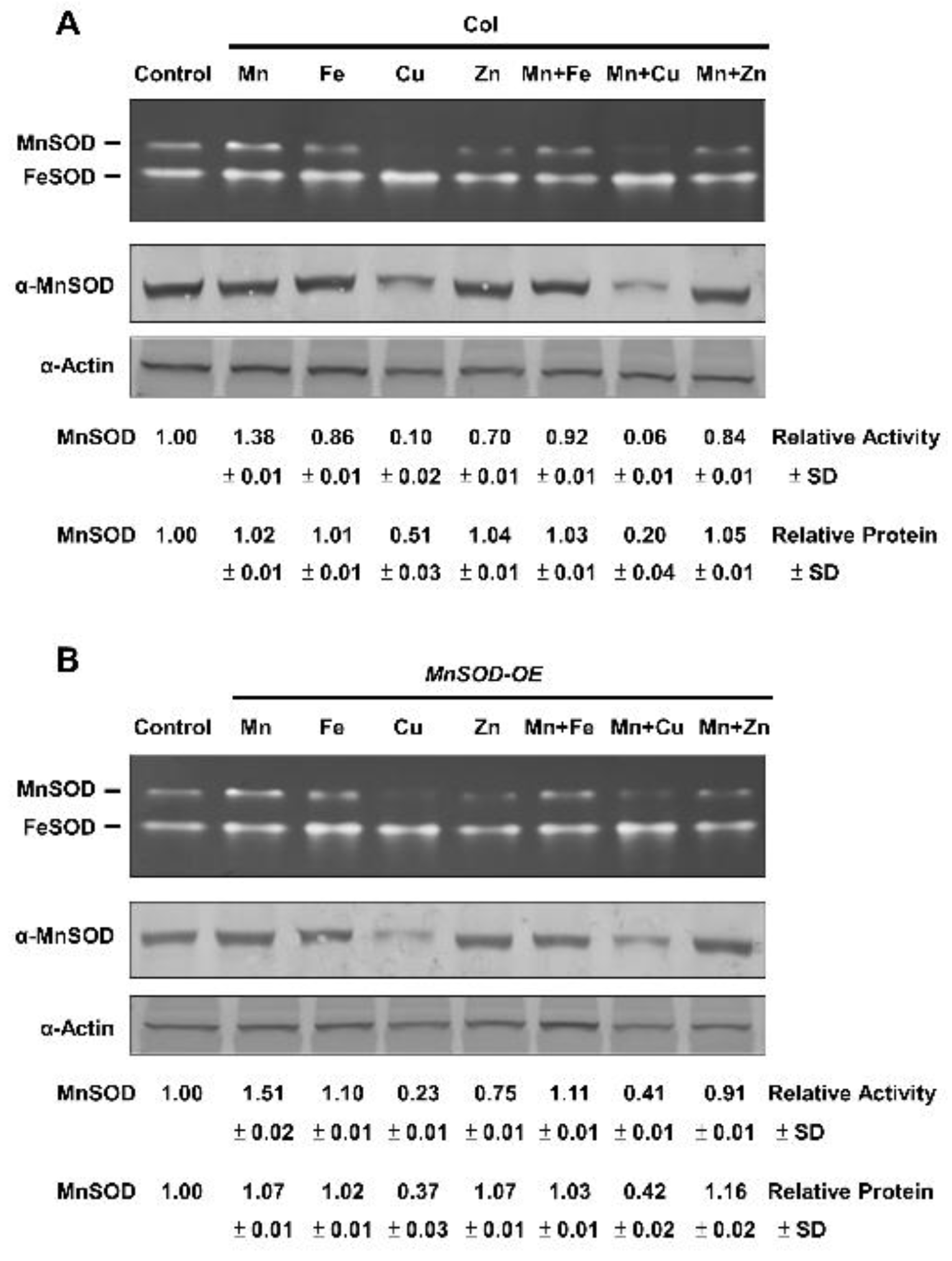 Plants 11 00619 g001