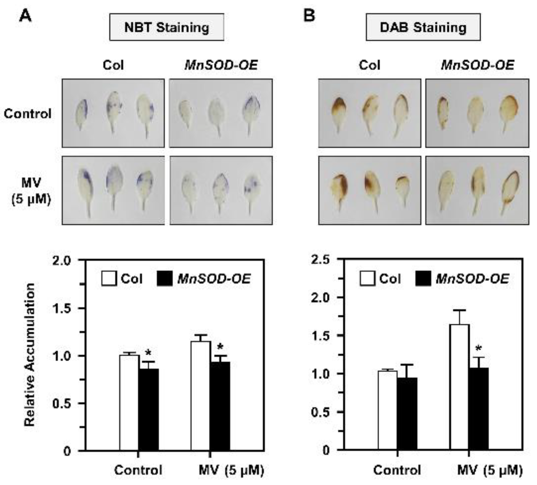 Plants 11 00619 g005