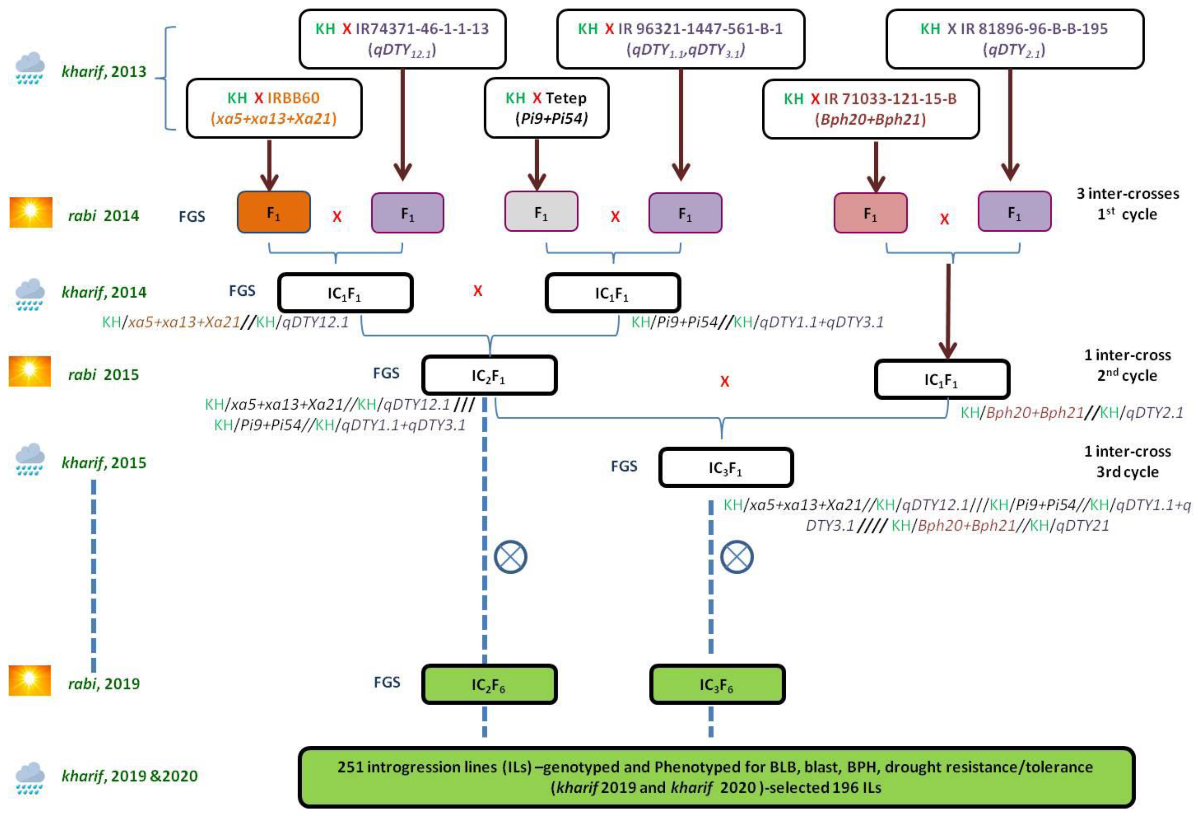 Plants 11 00622 g001