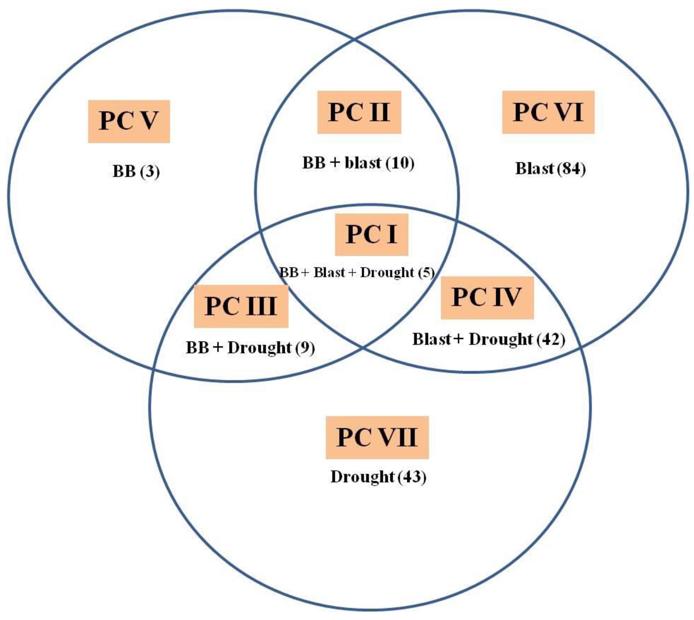 Plants 11 00622 g002