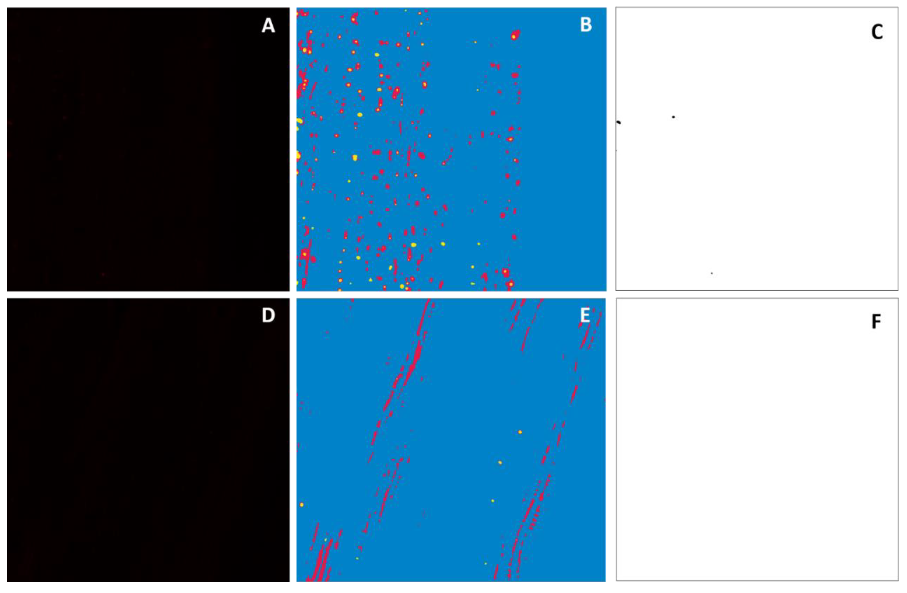 Plants 11 00624 g003