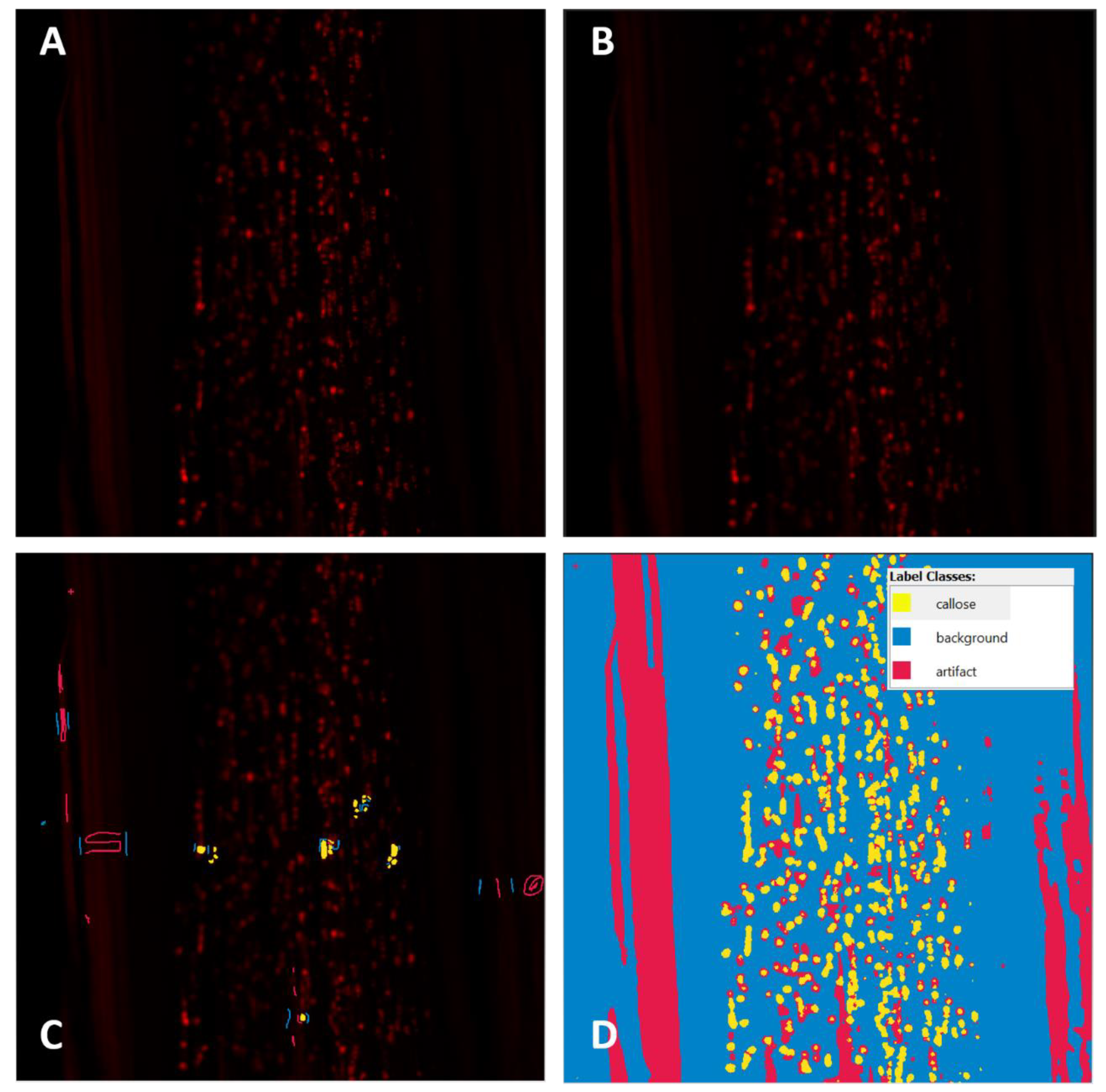 Plants 11 00624 g005