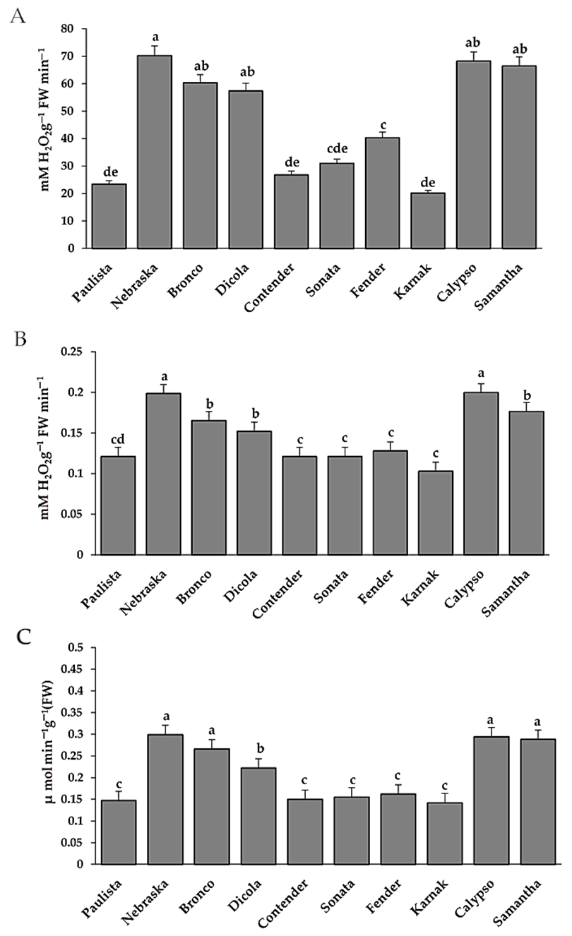 Plants 11 00628 g004
