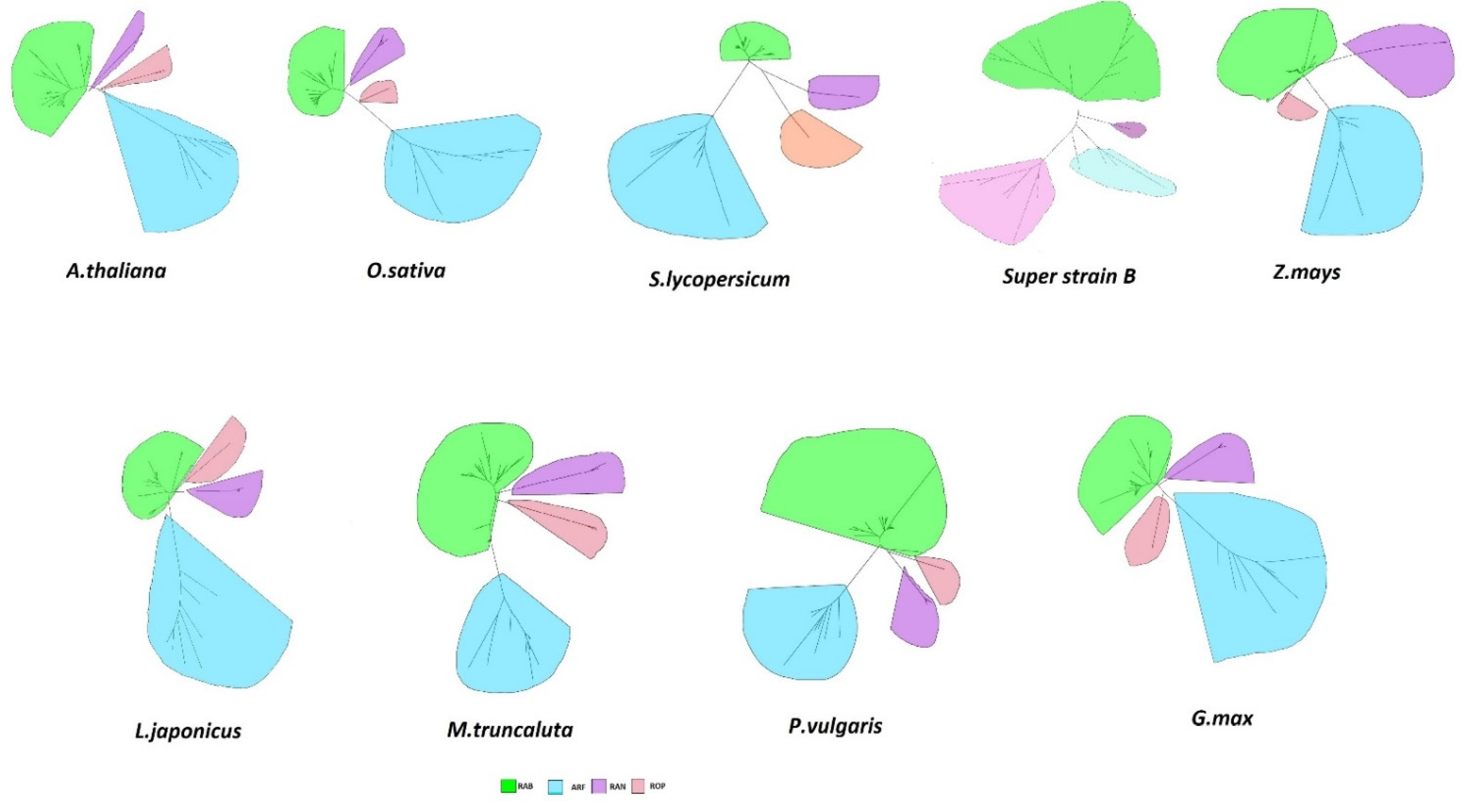 Plants 11 00641 g001