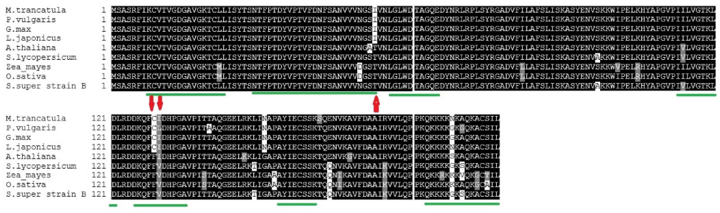 Plants 11 00641 g003