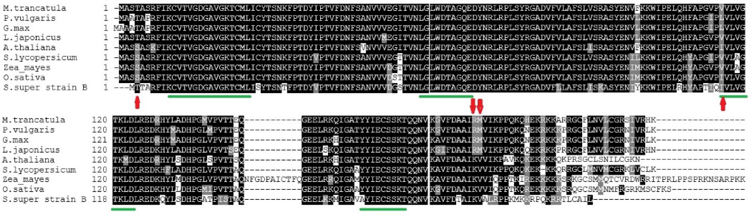 Plants 11 00641 g004